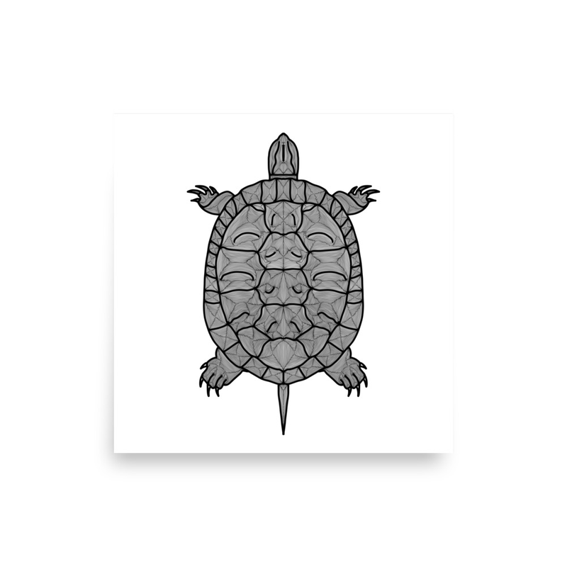 Painted Turtle Poster