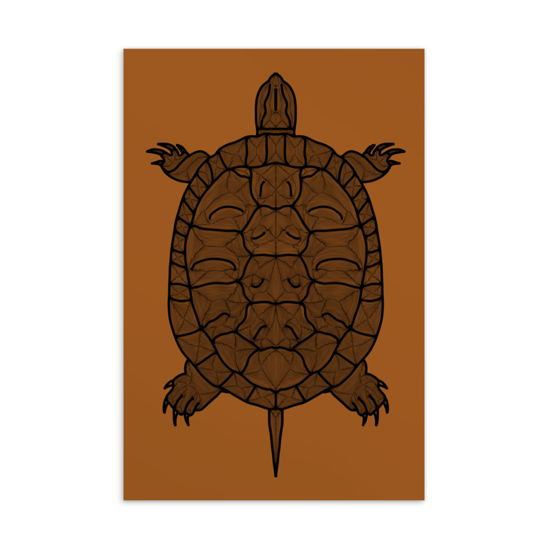 Painted Turtle Postcard