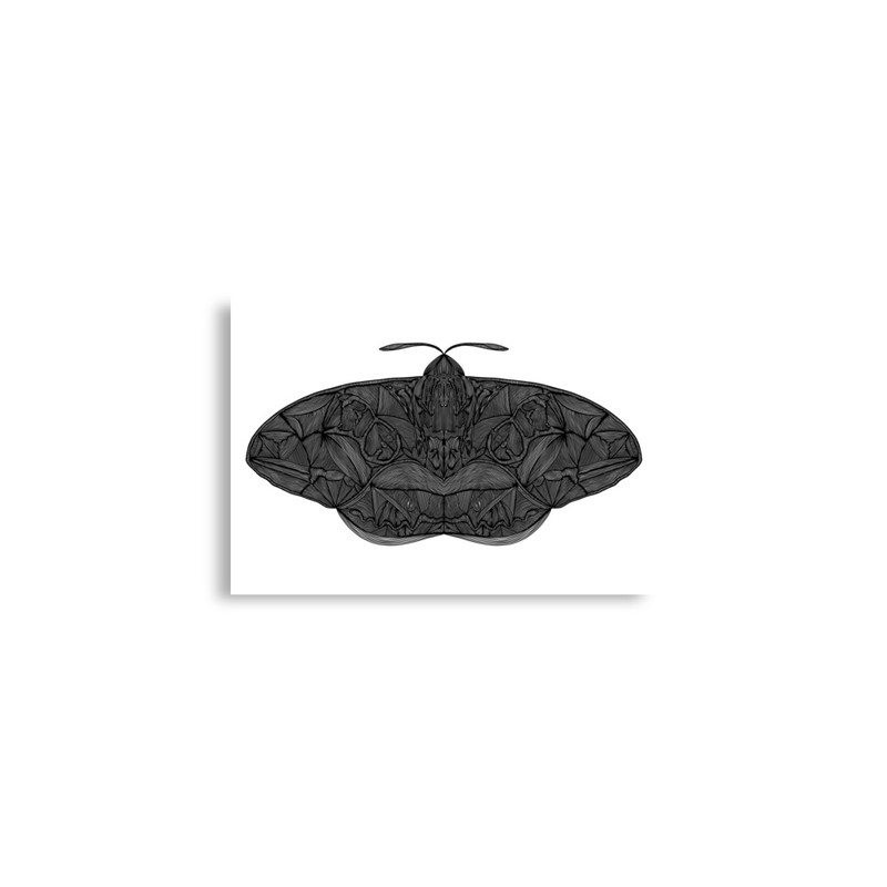 Moth Print
