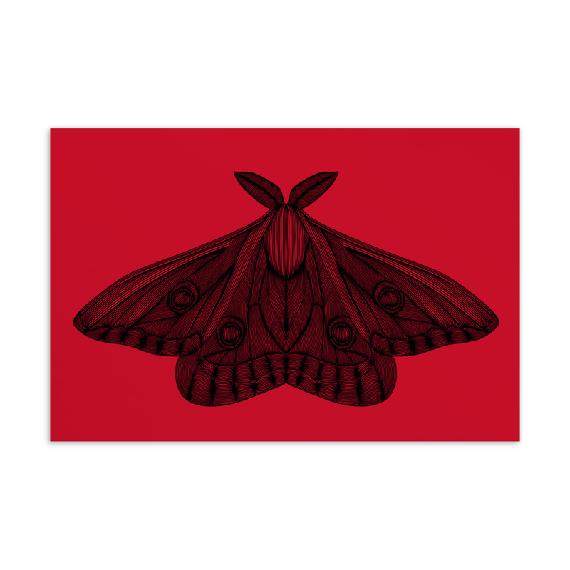 Red Moth