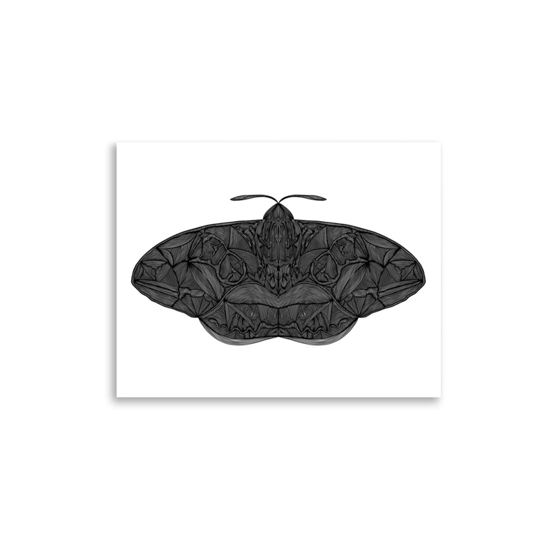 Moth Print