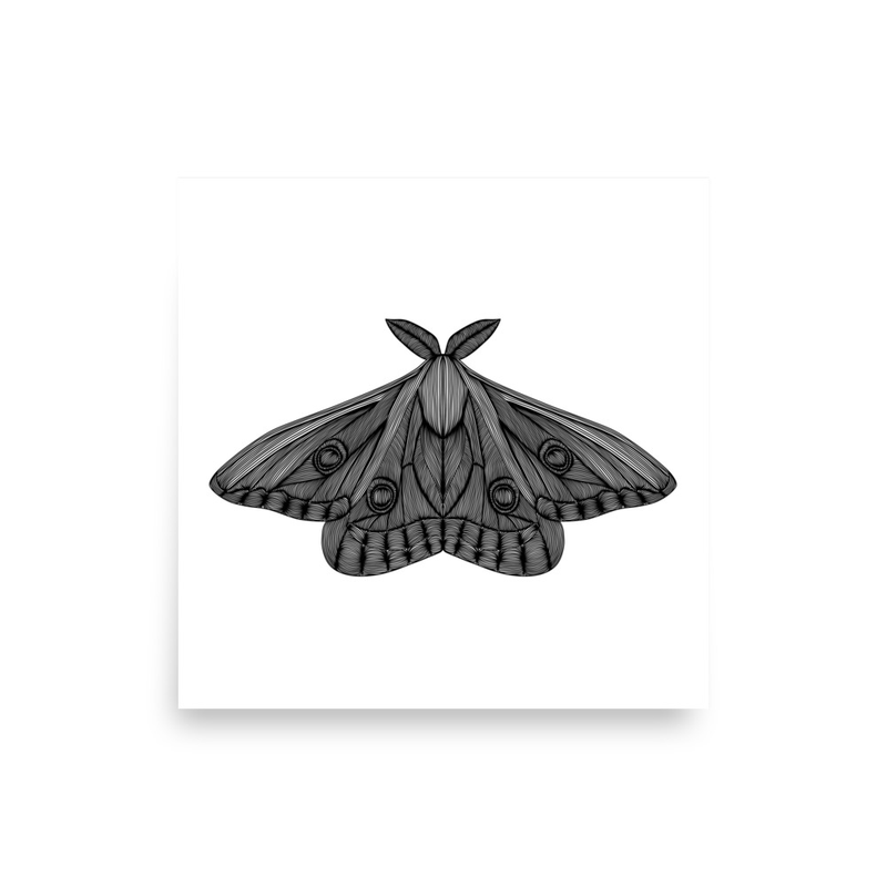 Moth Poster