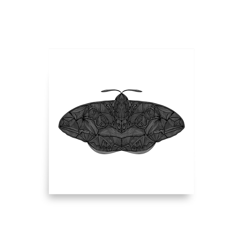 Moth Print