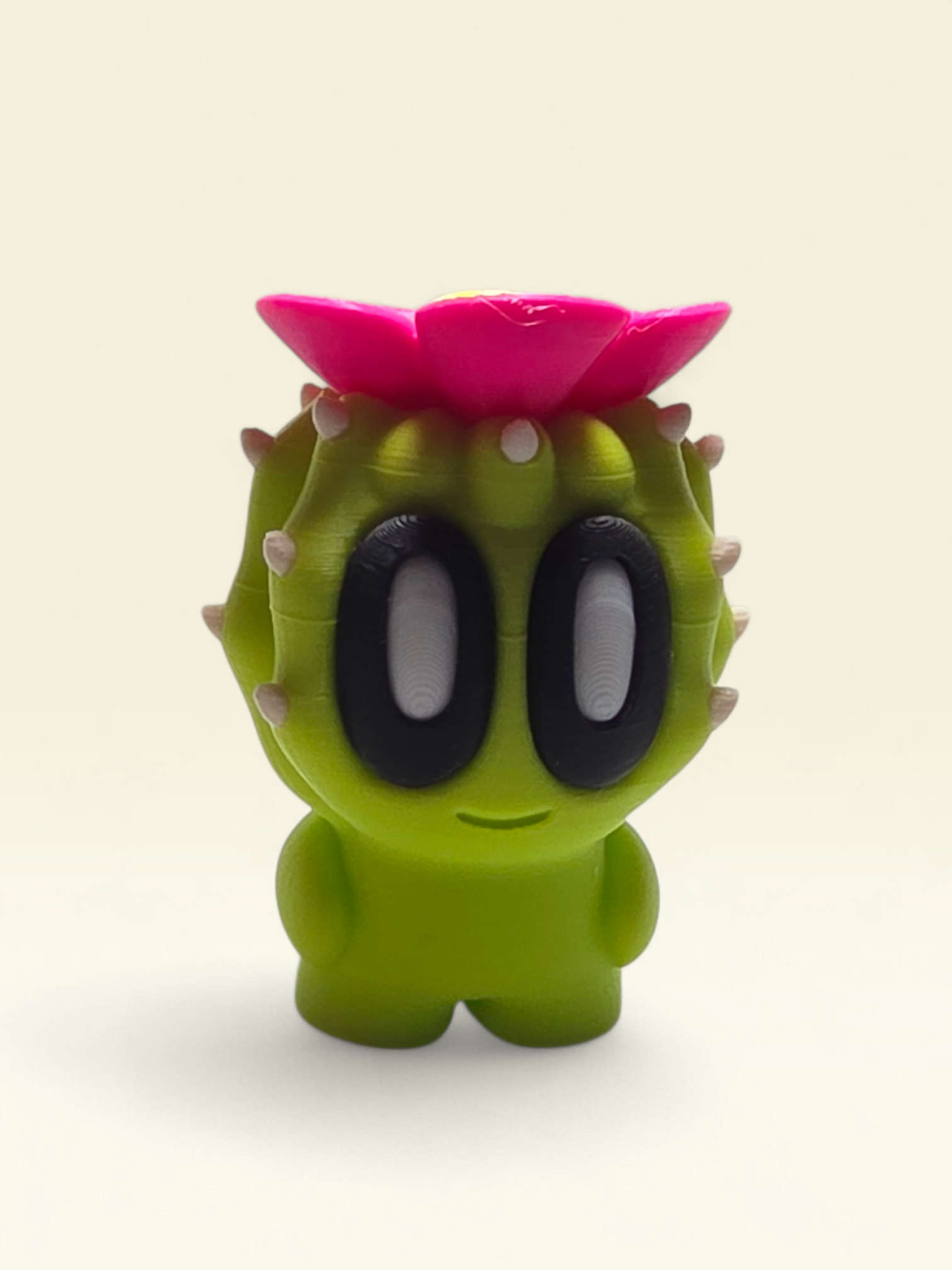 Belinda Barrel Cactus