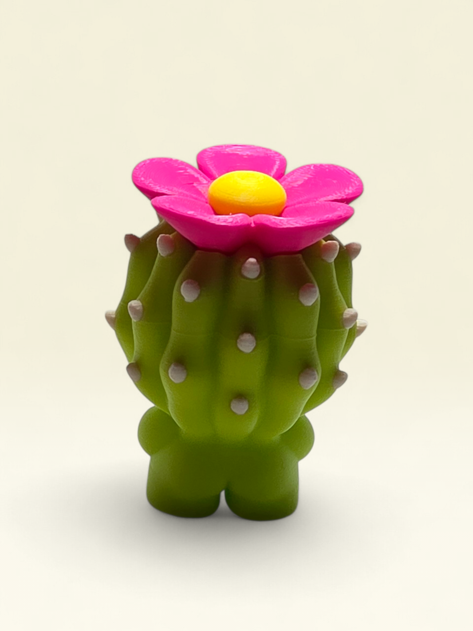 Belinda Barrel Cactus