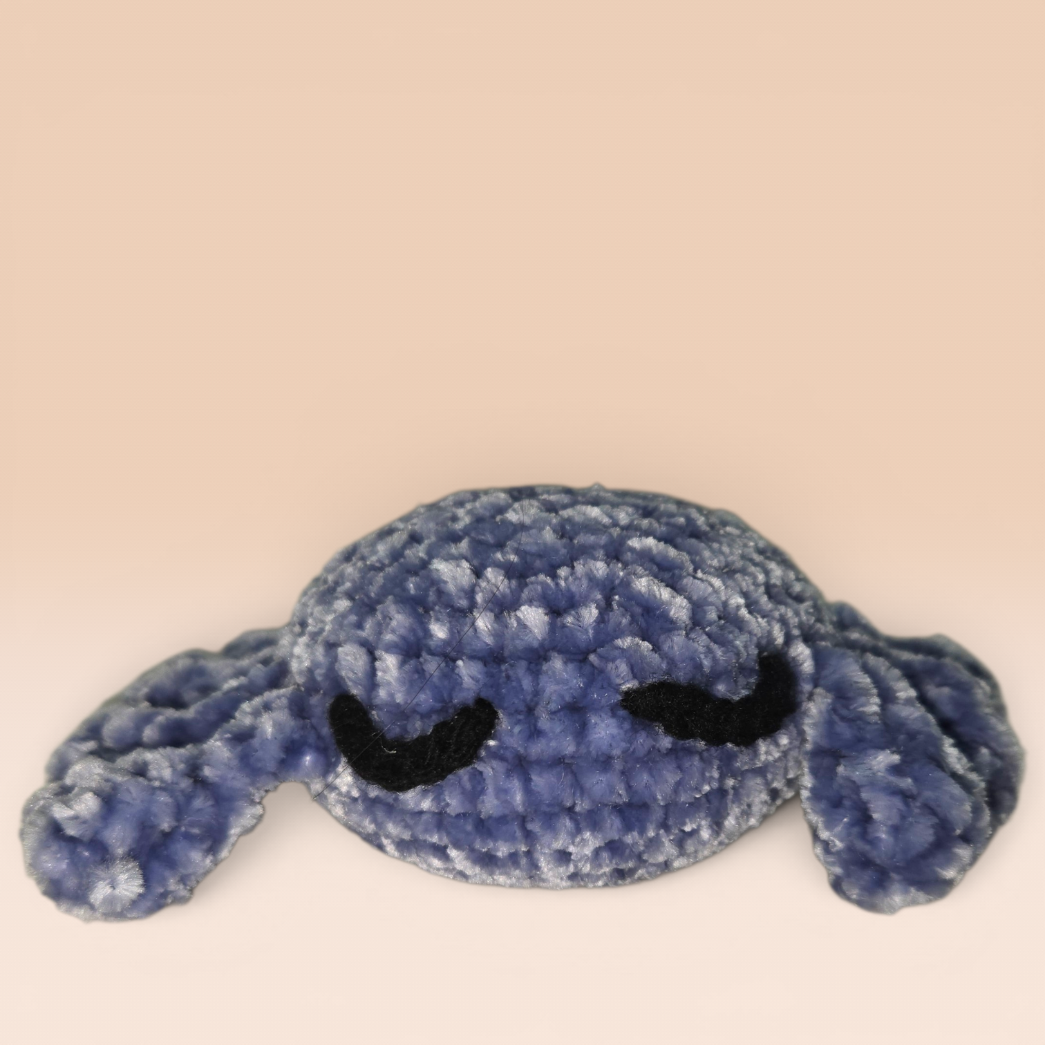 Sleepy Spider