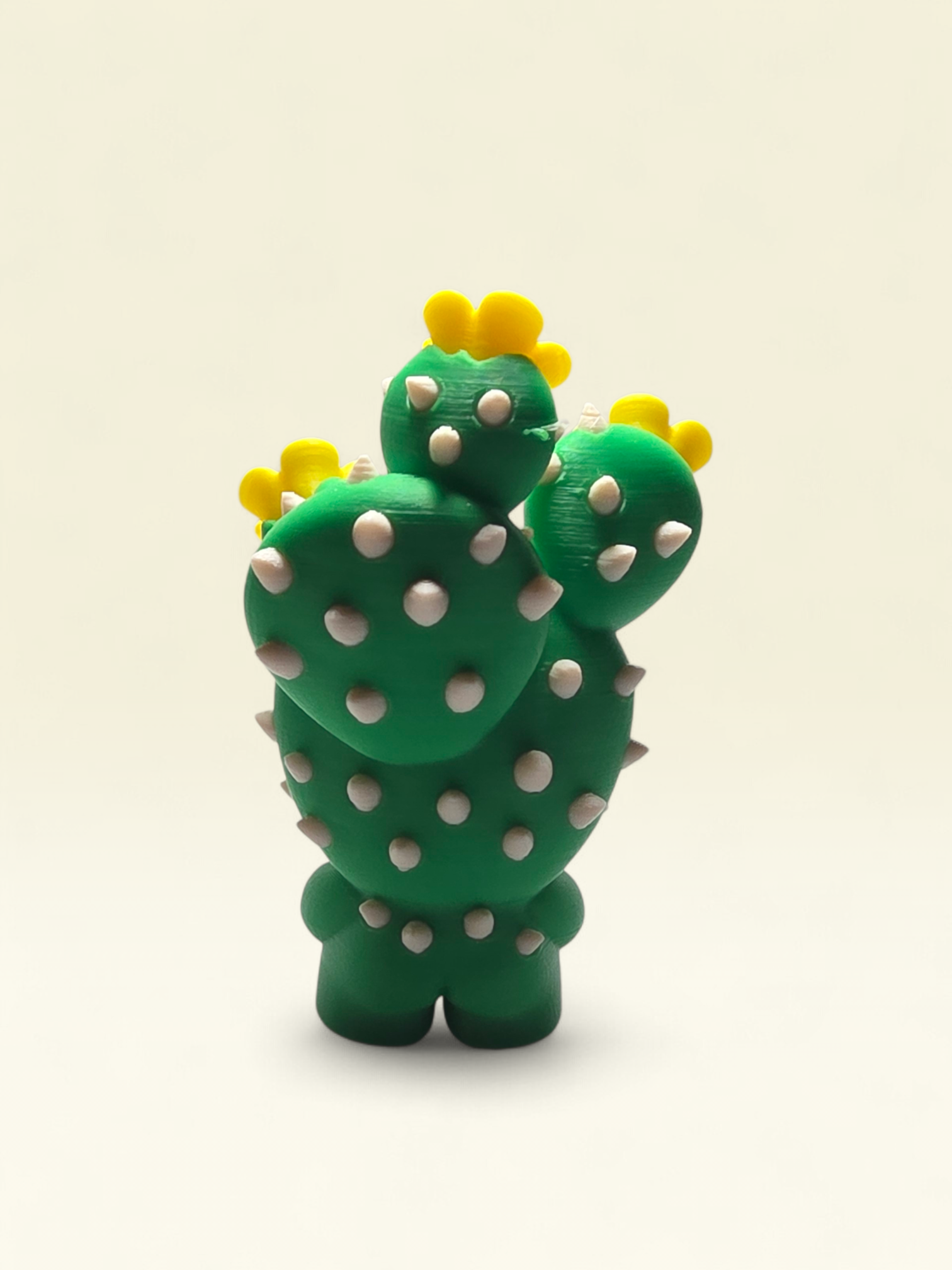 Paula Prickly Pear