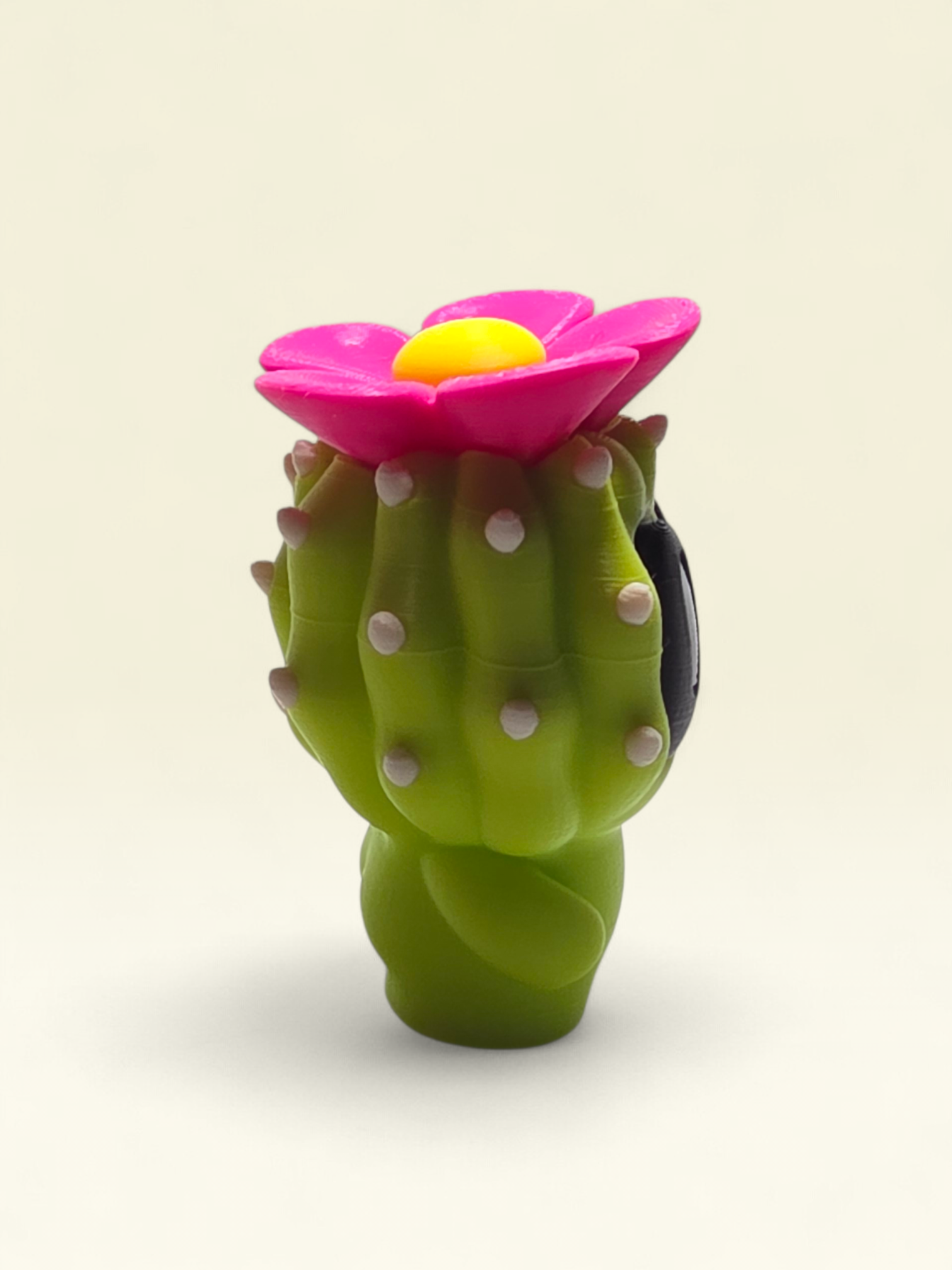 Belinda Barrel Cactus