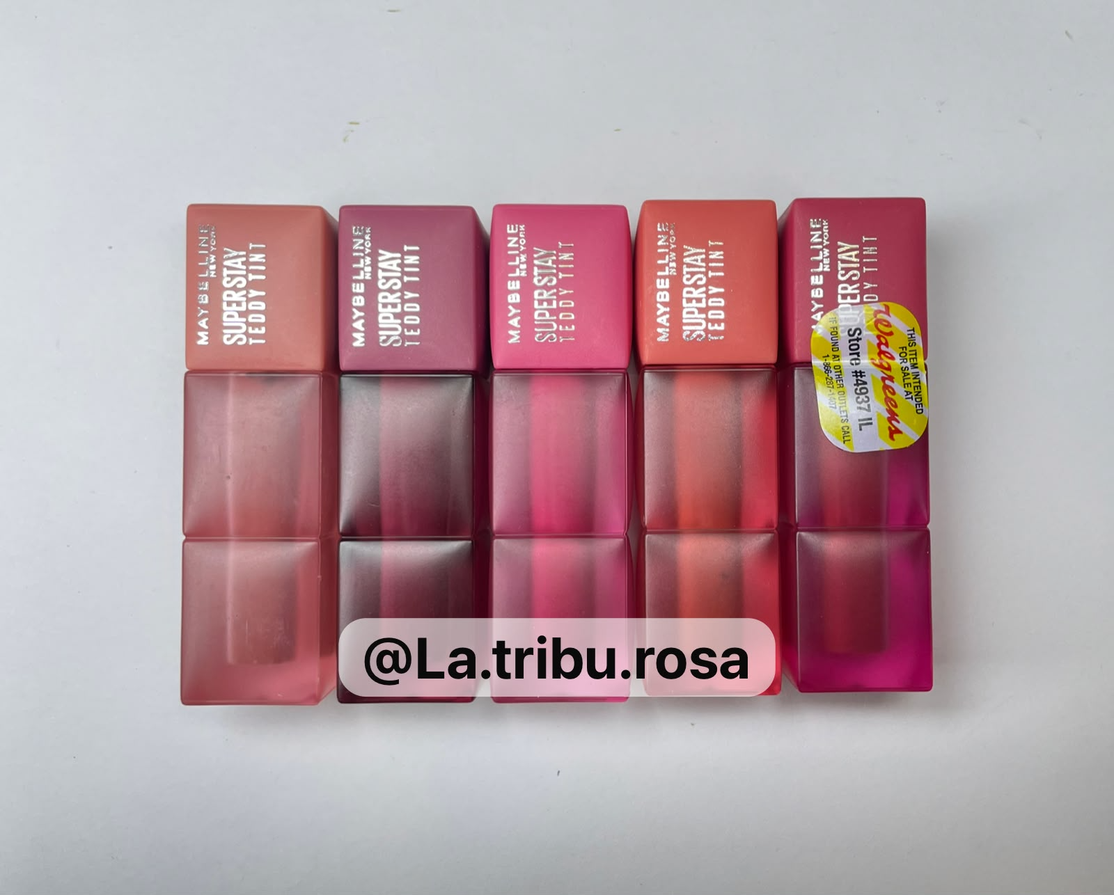 Lote solo Teddy tint 5pz #JL249