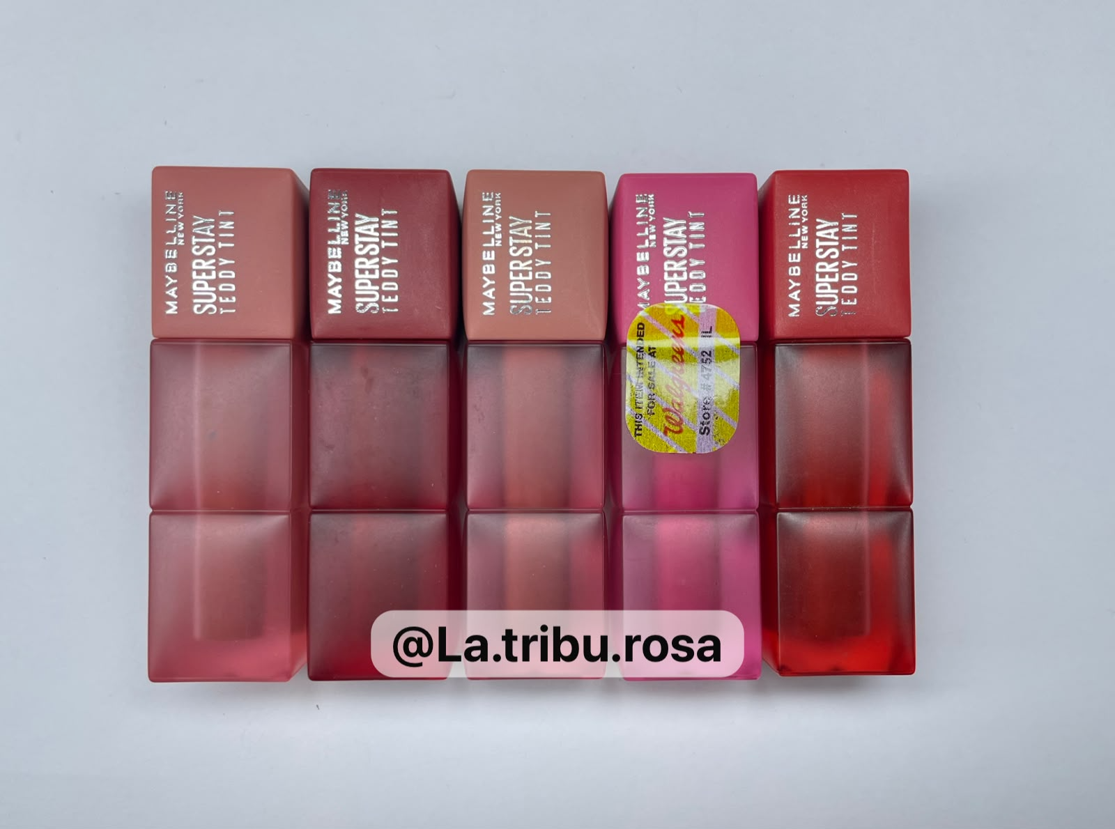 Lote solo Teddy tint 5pz #JL250