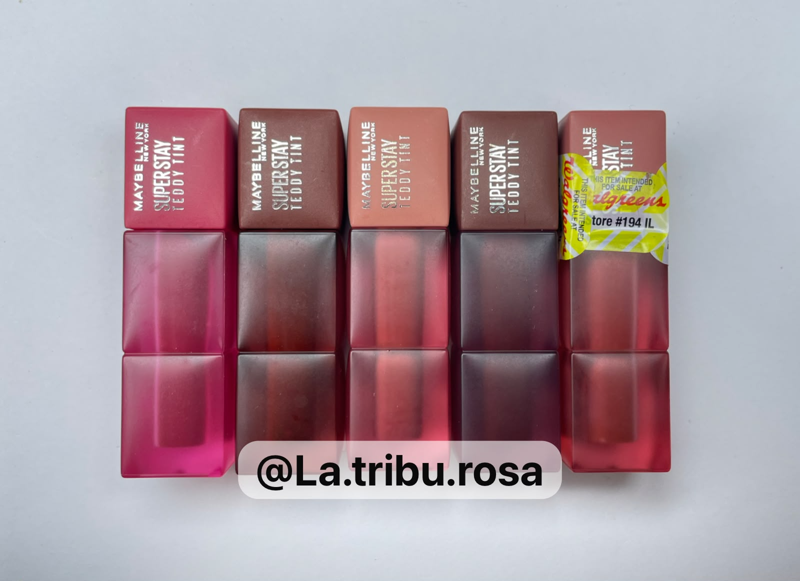 Lote solo Teddy tint 5pz #JL270