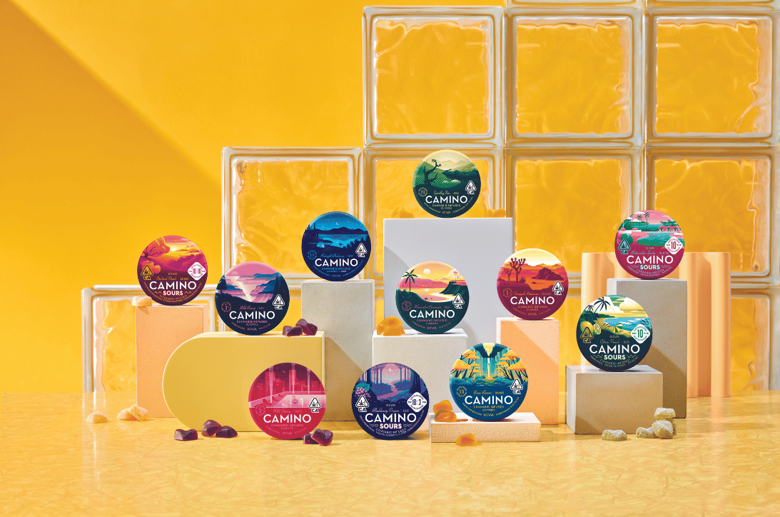 Camino (100Mg) Edibles