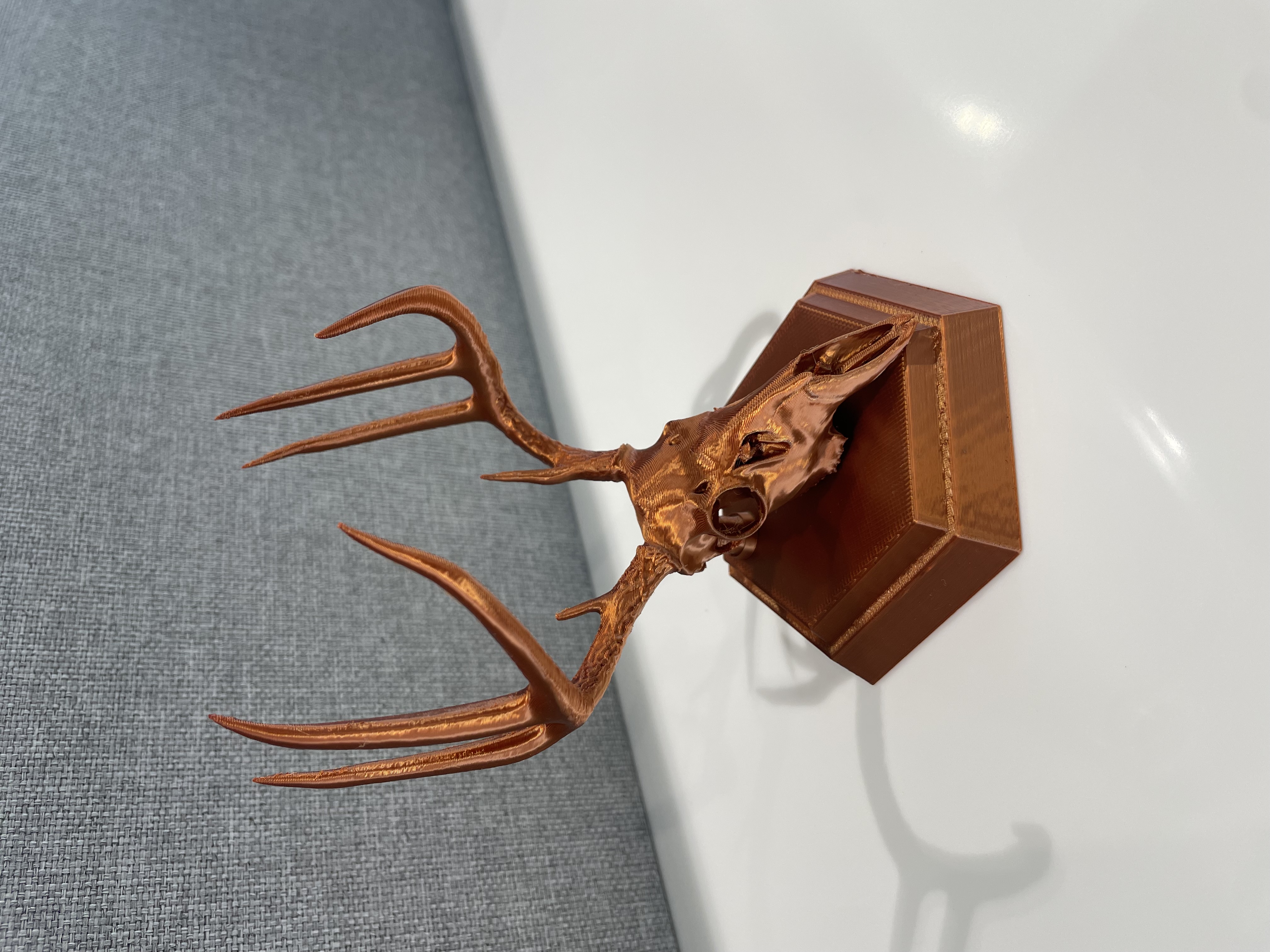 Whitetail Buck Euro Mount Replica