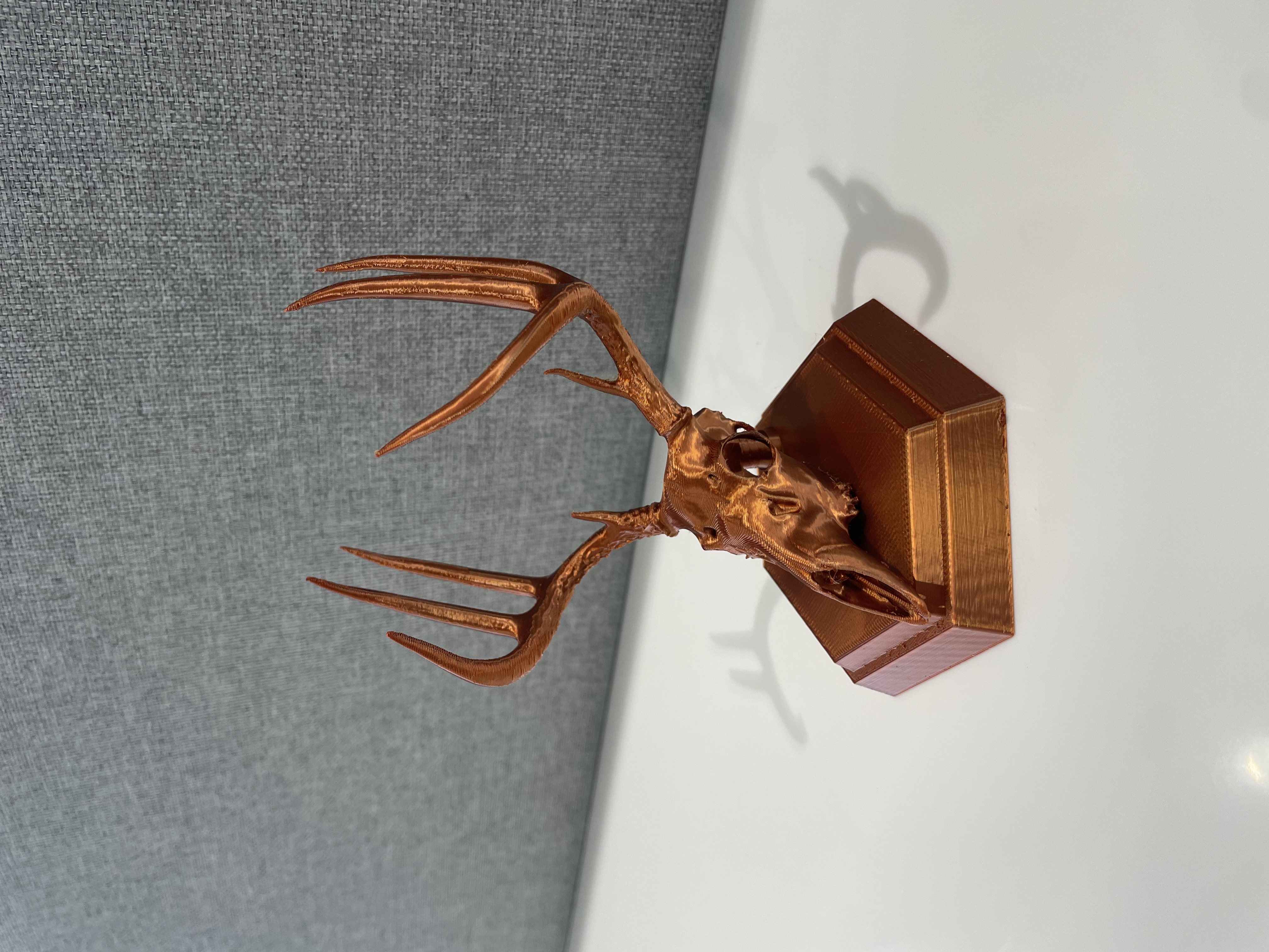 Whitetail Buck Euro Mount Replica