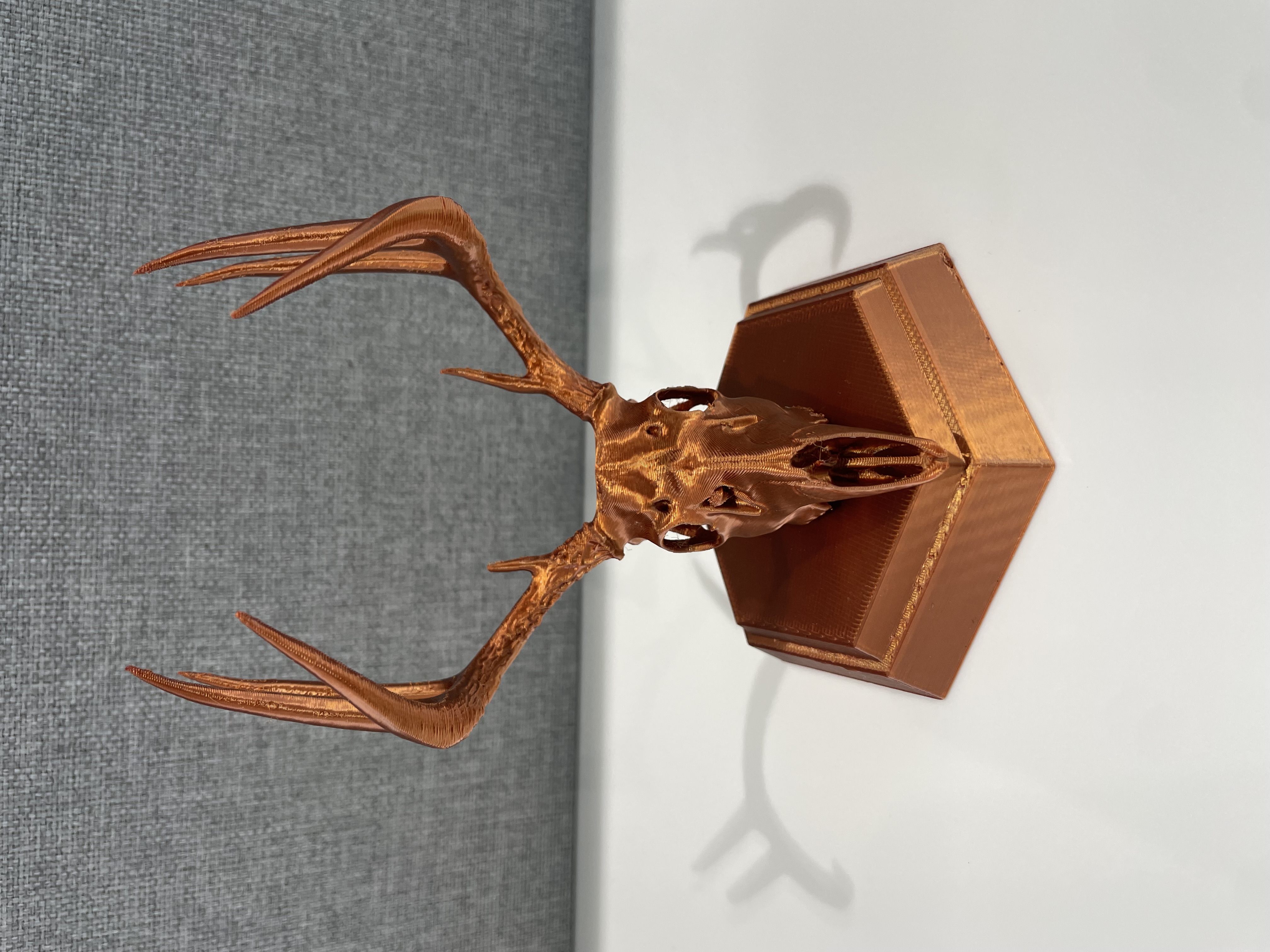 Whitetail Buck Euro Mount Replica