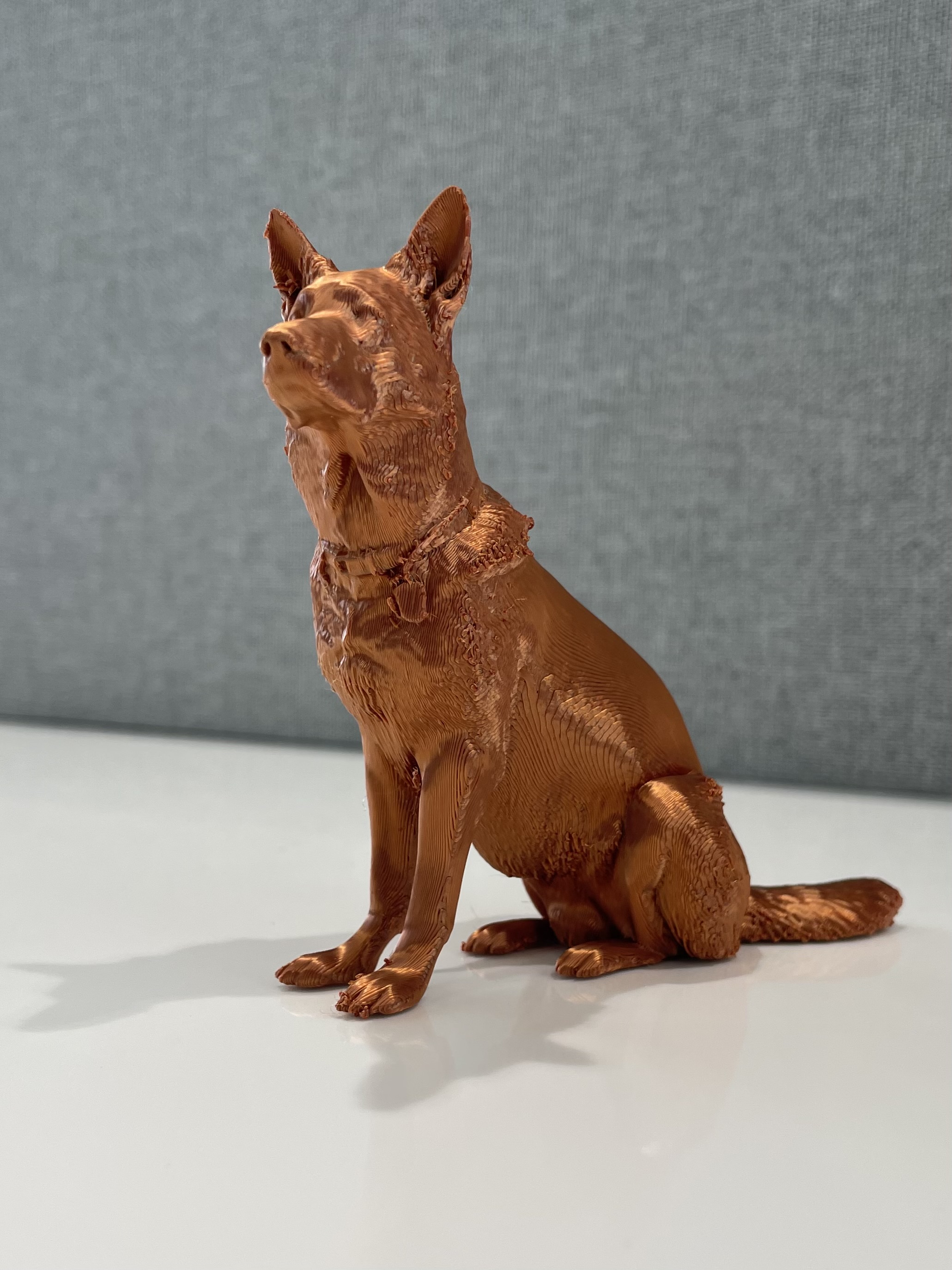 MemoryPet Custom Dog Print