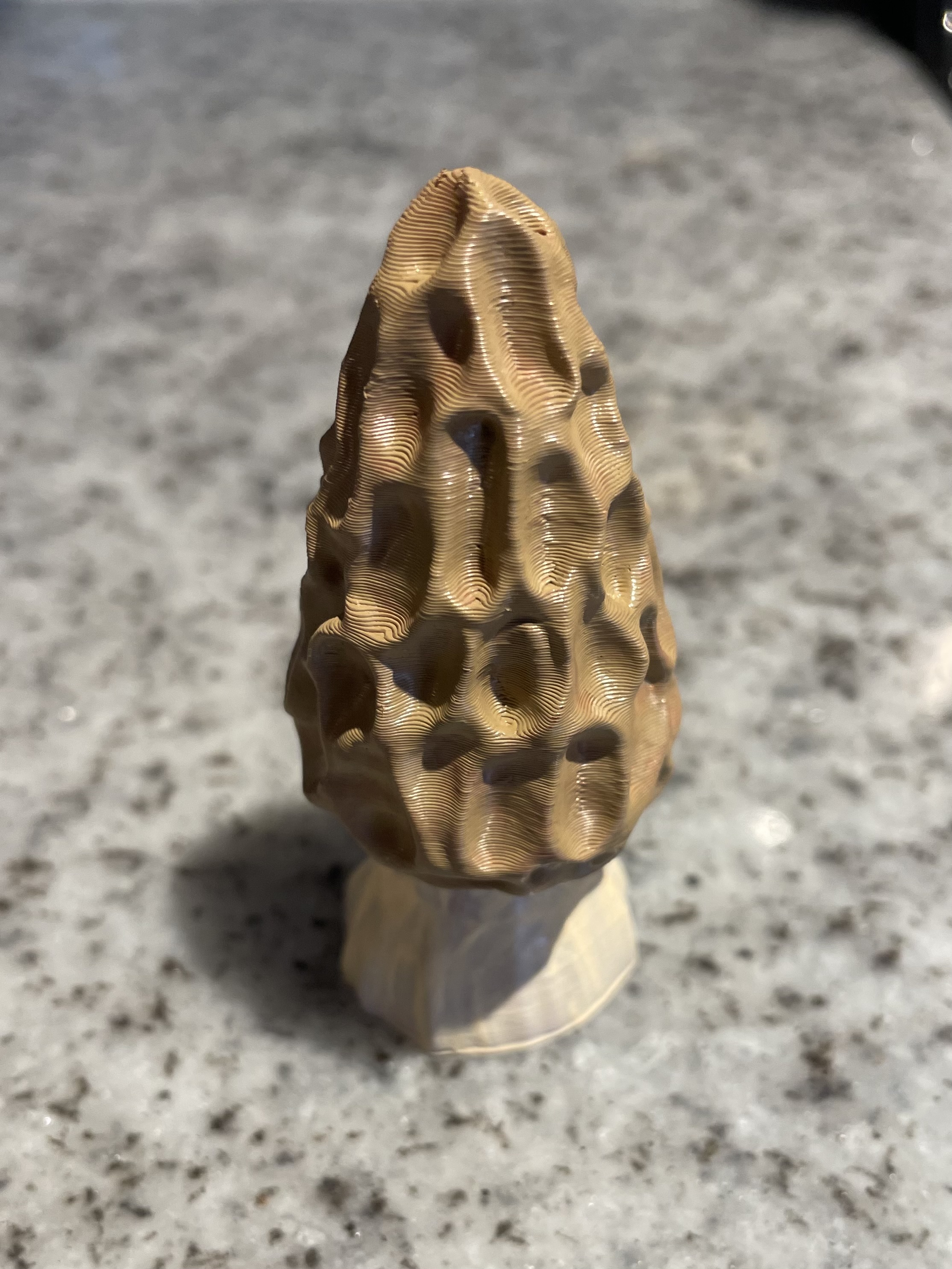 Morel Mushroom decorative