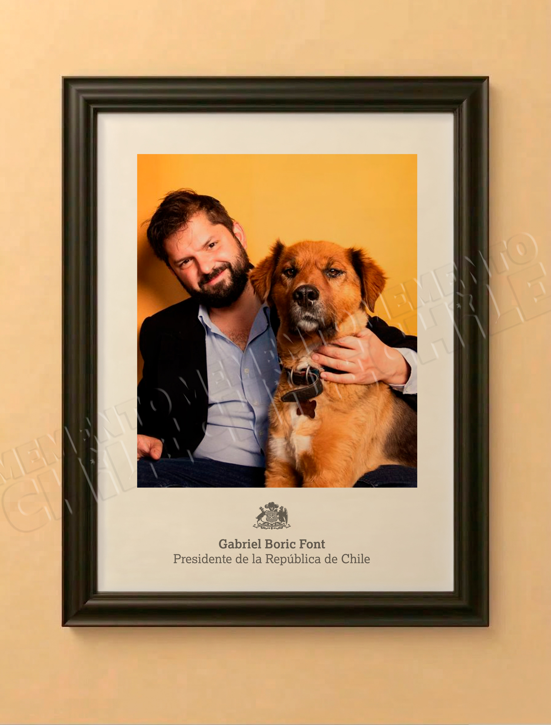 Edición Especial Presidente Boric