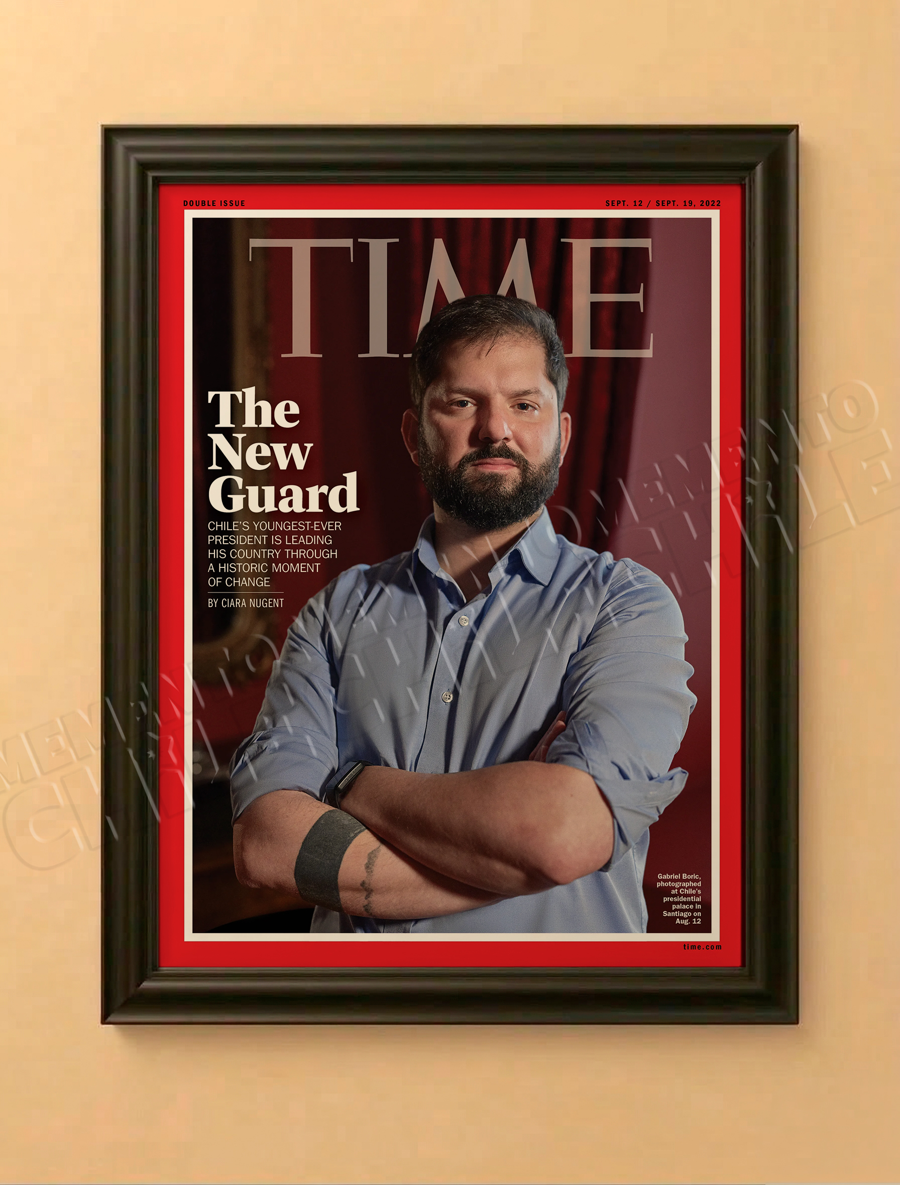 Edición Especial Presidente Boric