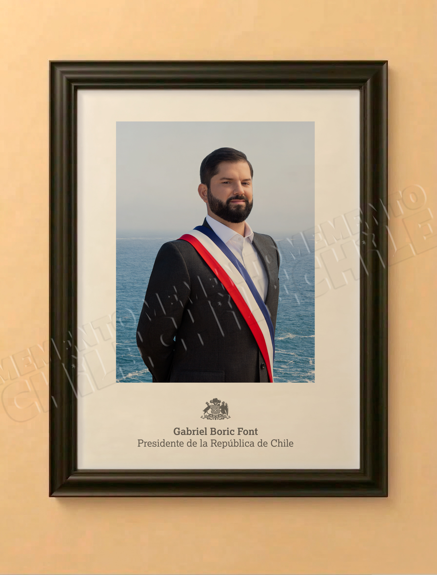 Edición Especial Presidente Boric