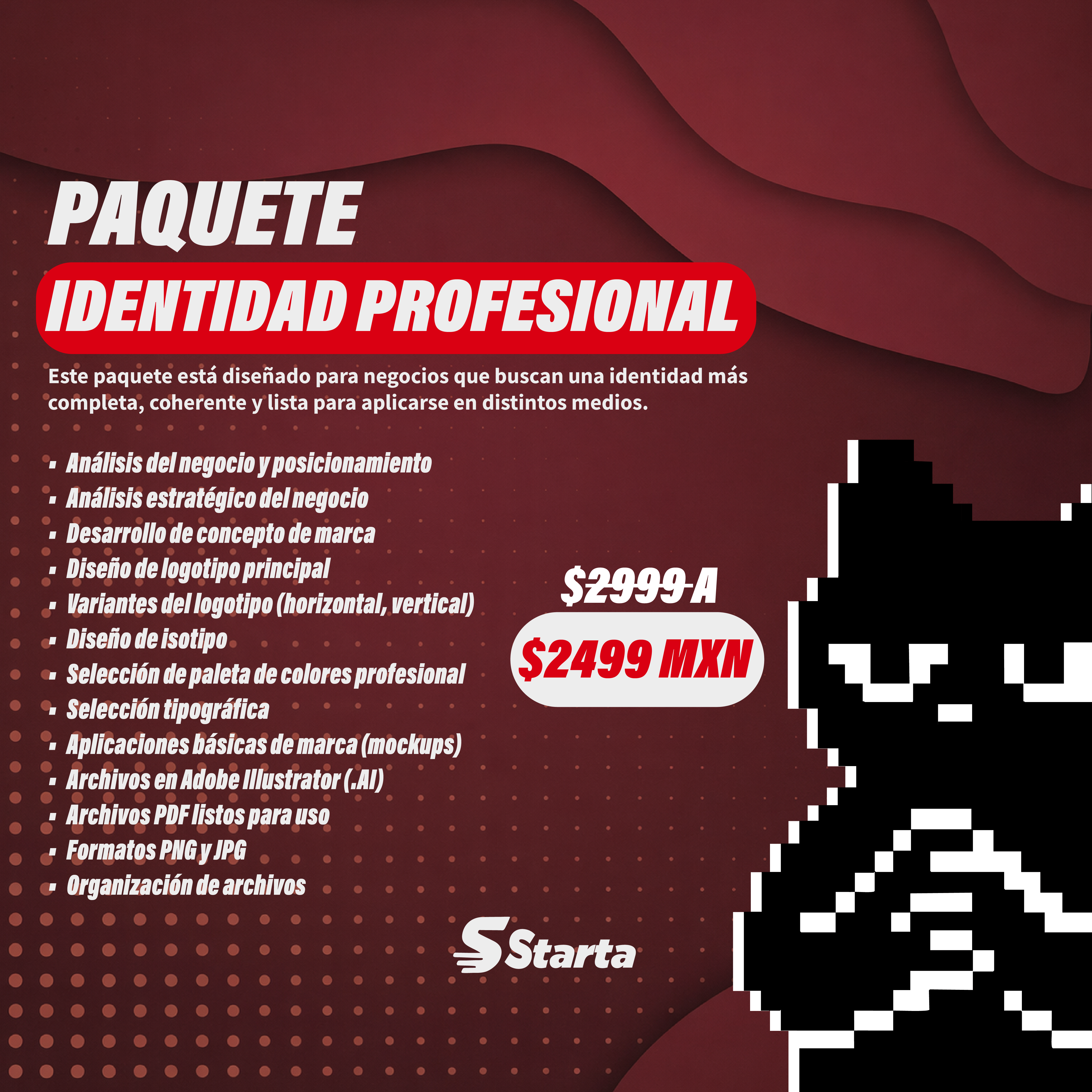 PAQUETE IDENTIDAD PROFESIONAL