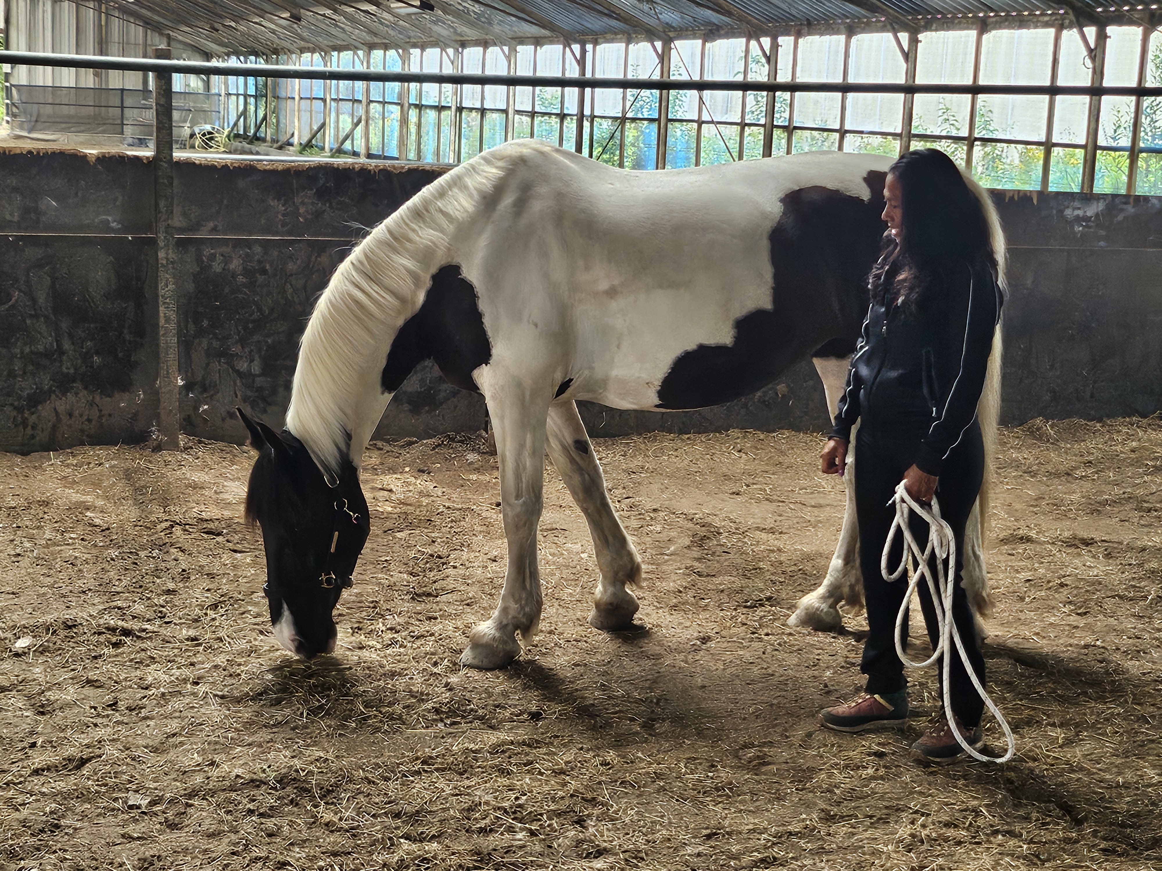 Individuele Coaching