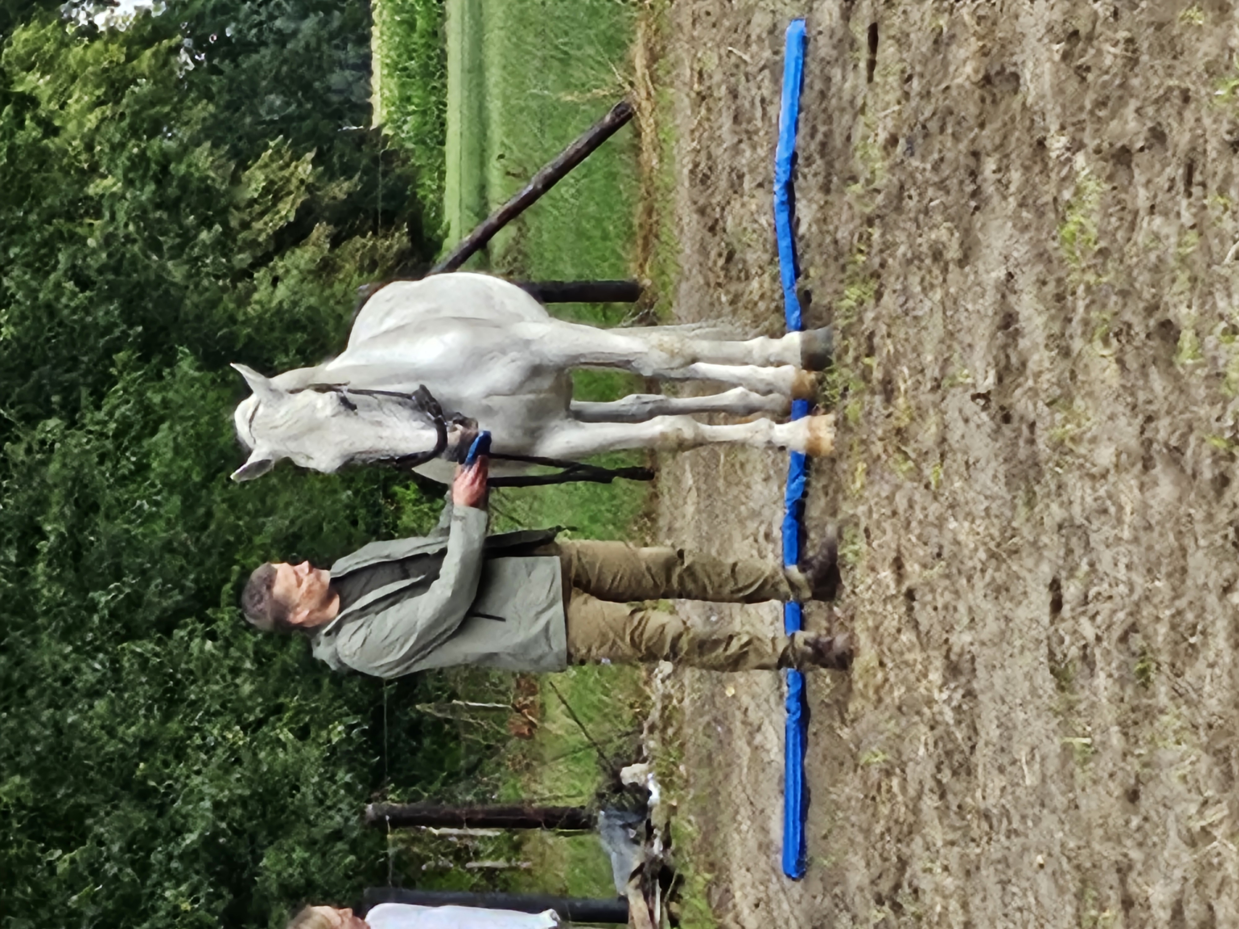 Individuele Coaching