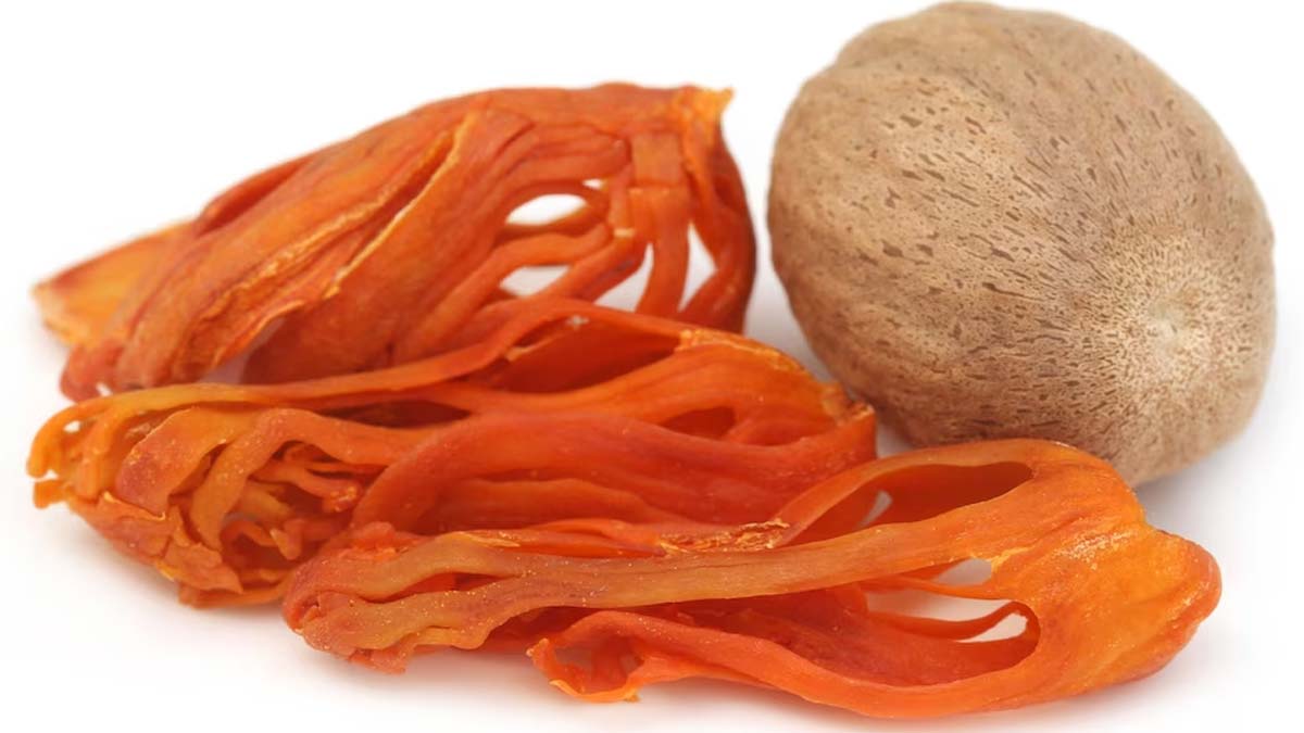 NUSPAICE Velvet Mace™