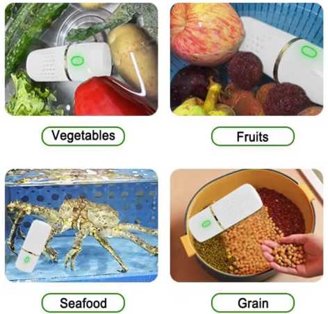 Portable Food Purifier Device
