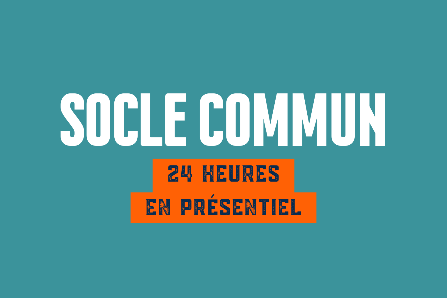 SOCLE COMMUN 24h