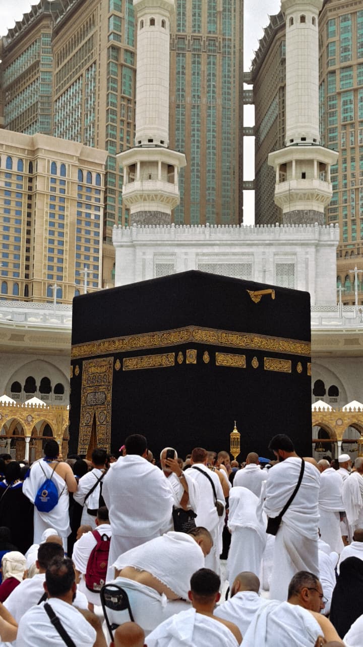 The "Essential" Journey (Economy 3-Star)