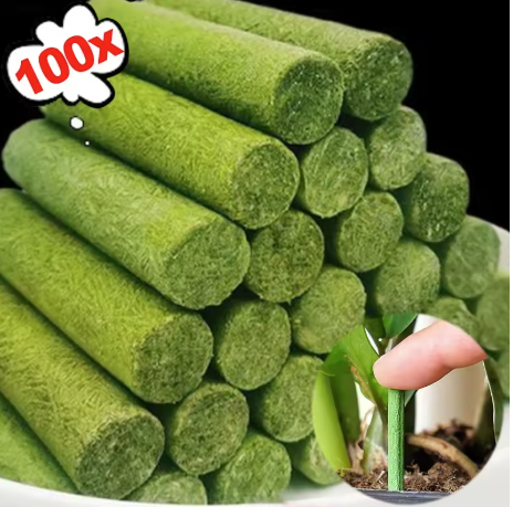 Plant Fertilizer Sticks (100 Pack)