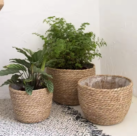 Woven Seagrass Planter Set
