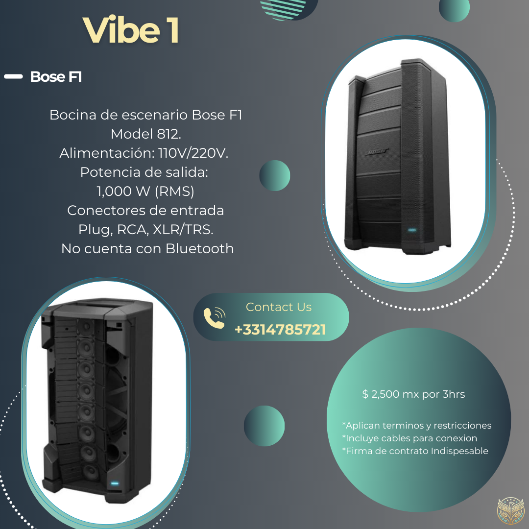 Vibe 1 Bocina Bose F1