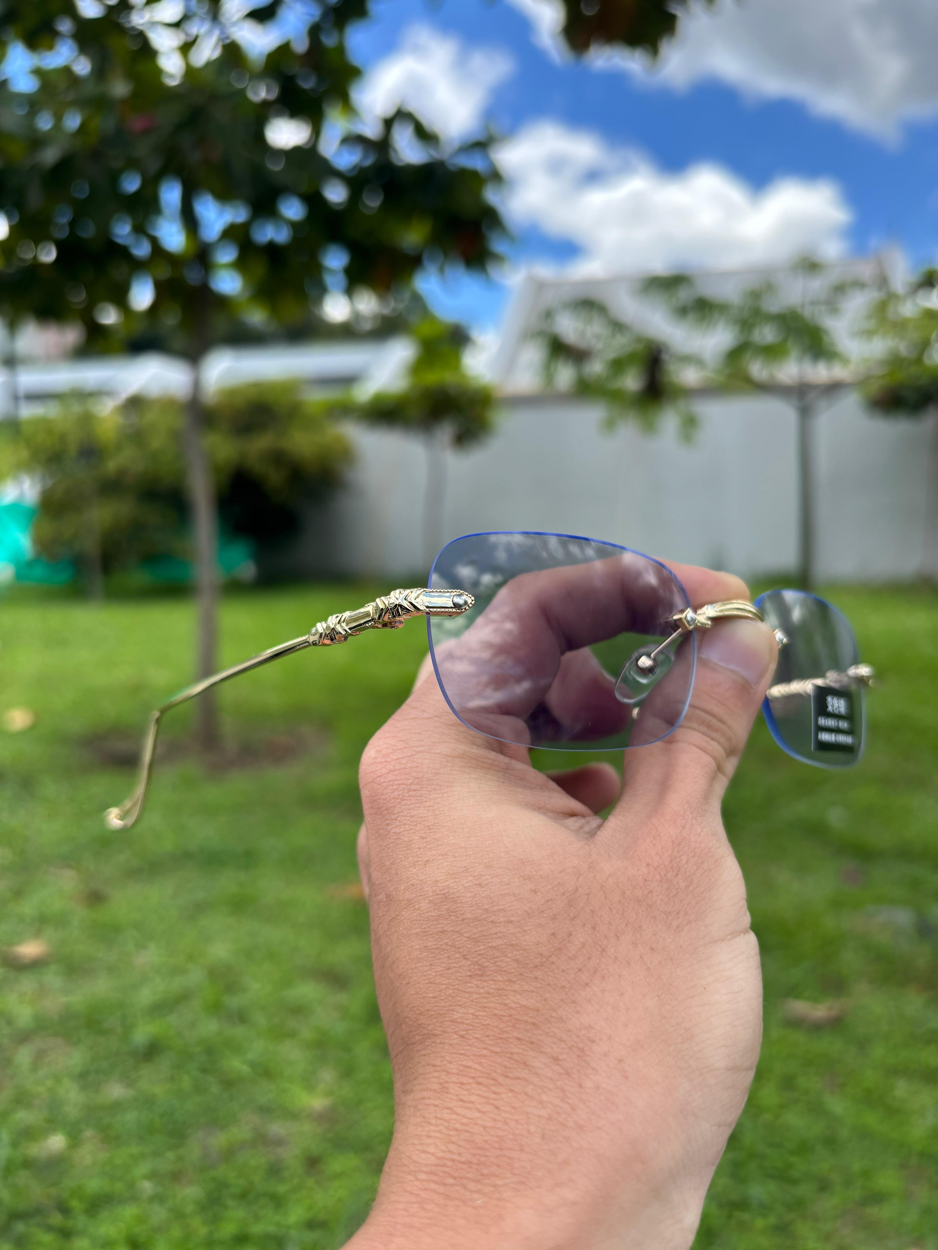 Gafas de Sol Elegantes