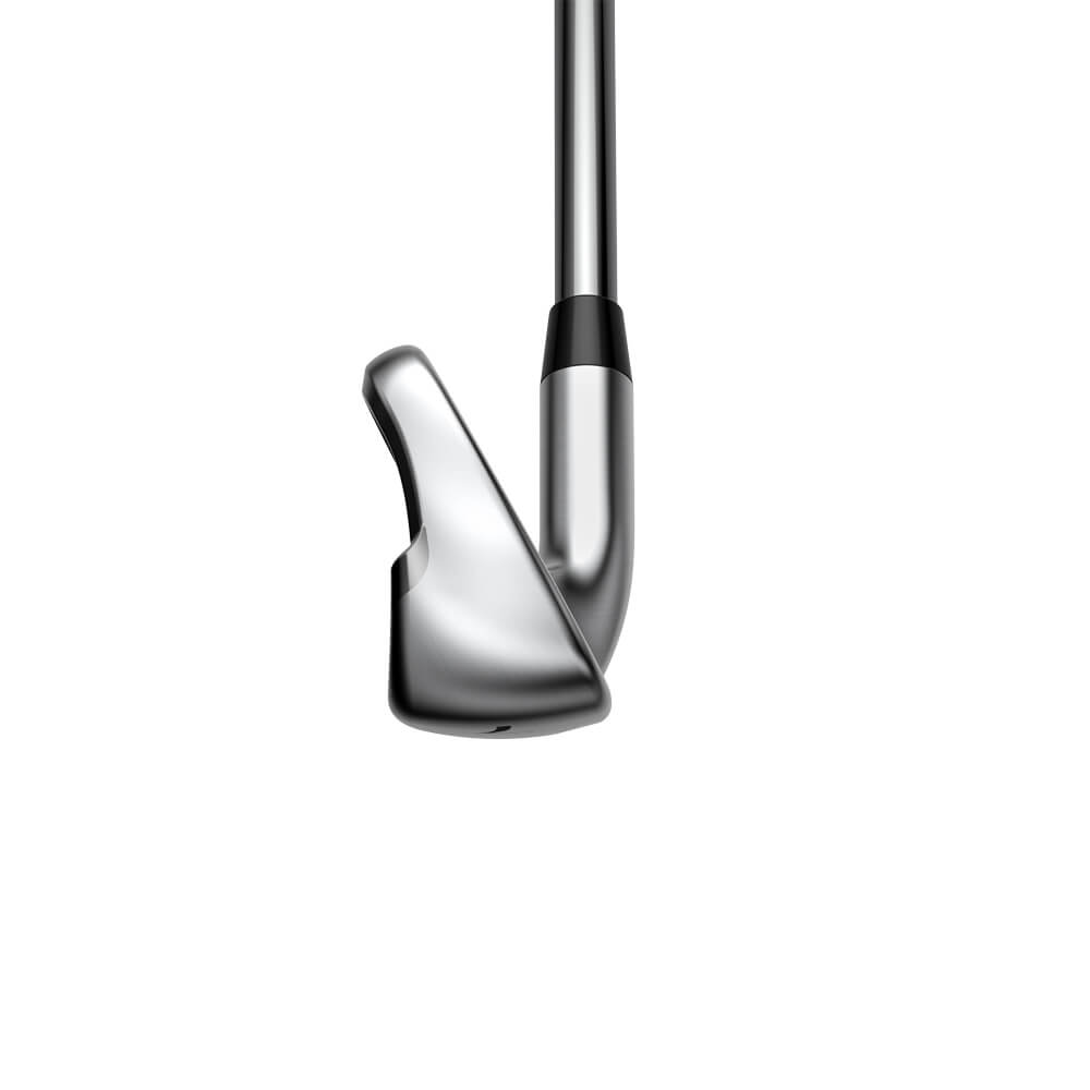 Cobra King 3D Max Iron