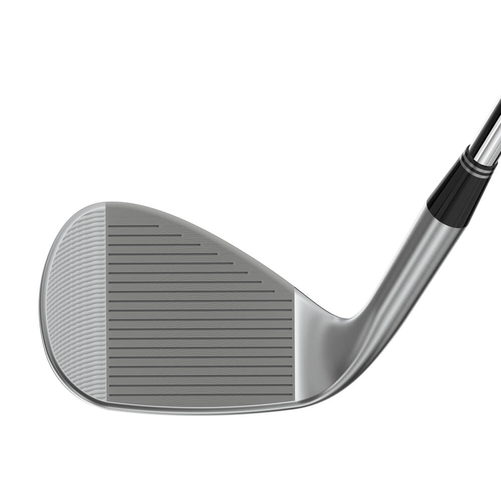 Golf Club Iron