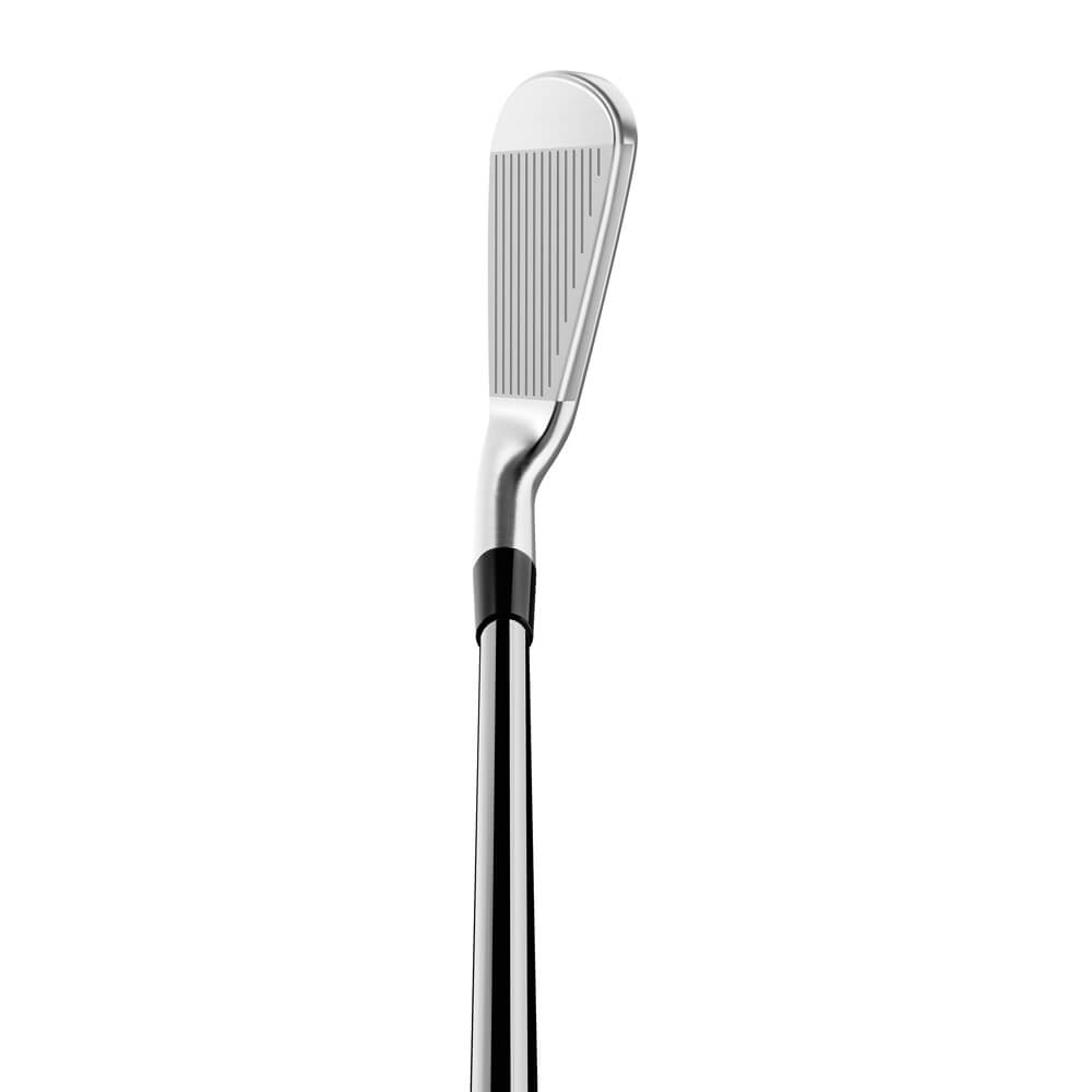 TaylorMade P790 Iron
