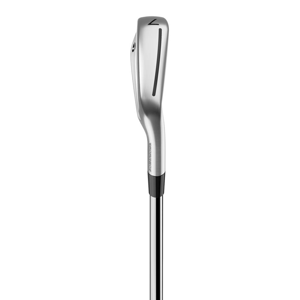 TaylorMade P790 Iron