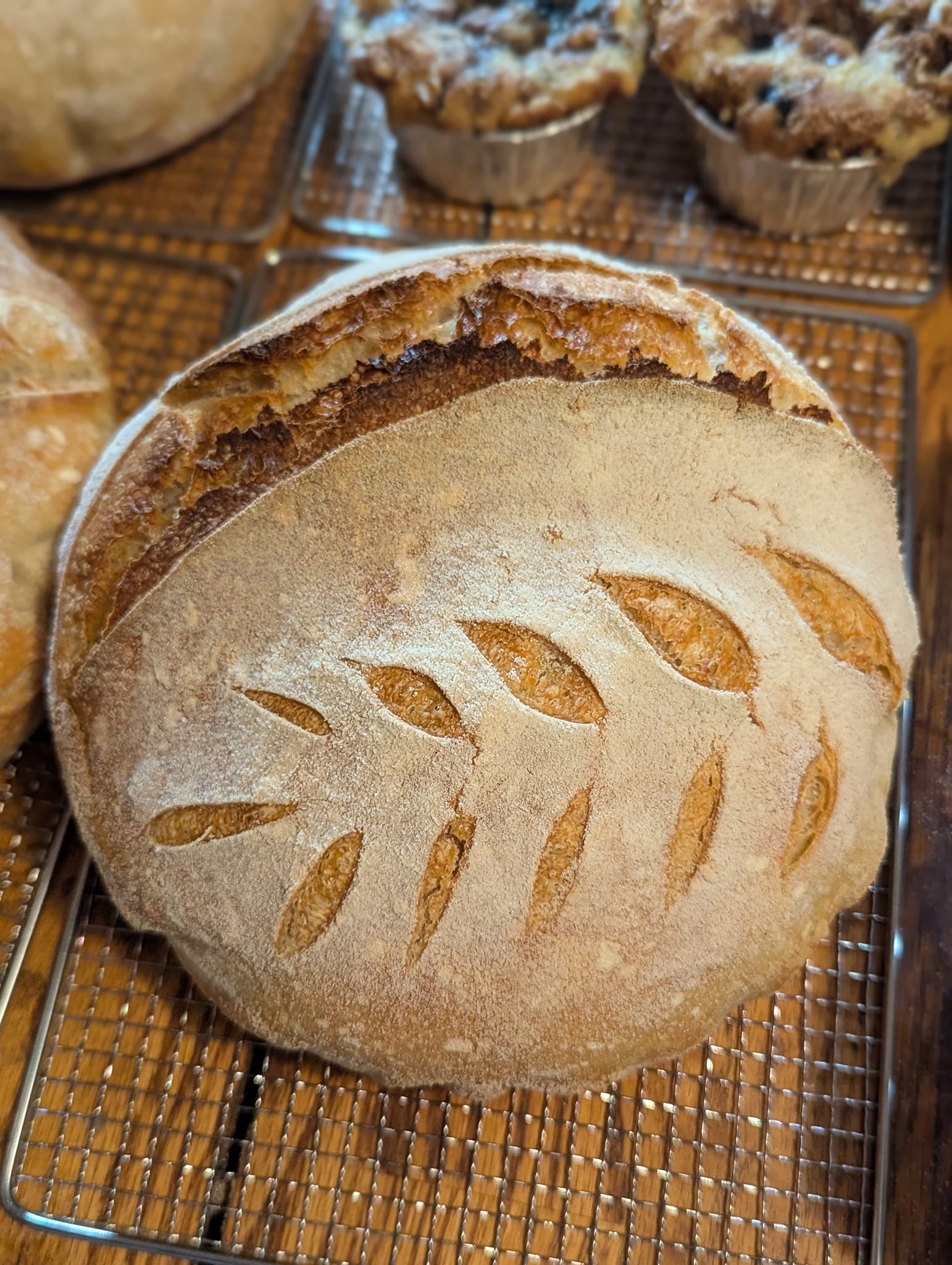 Artisan Sourdough Boules