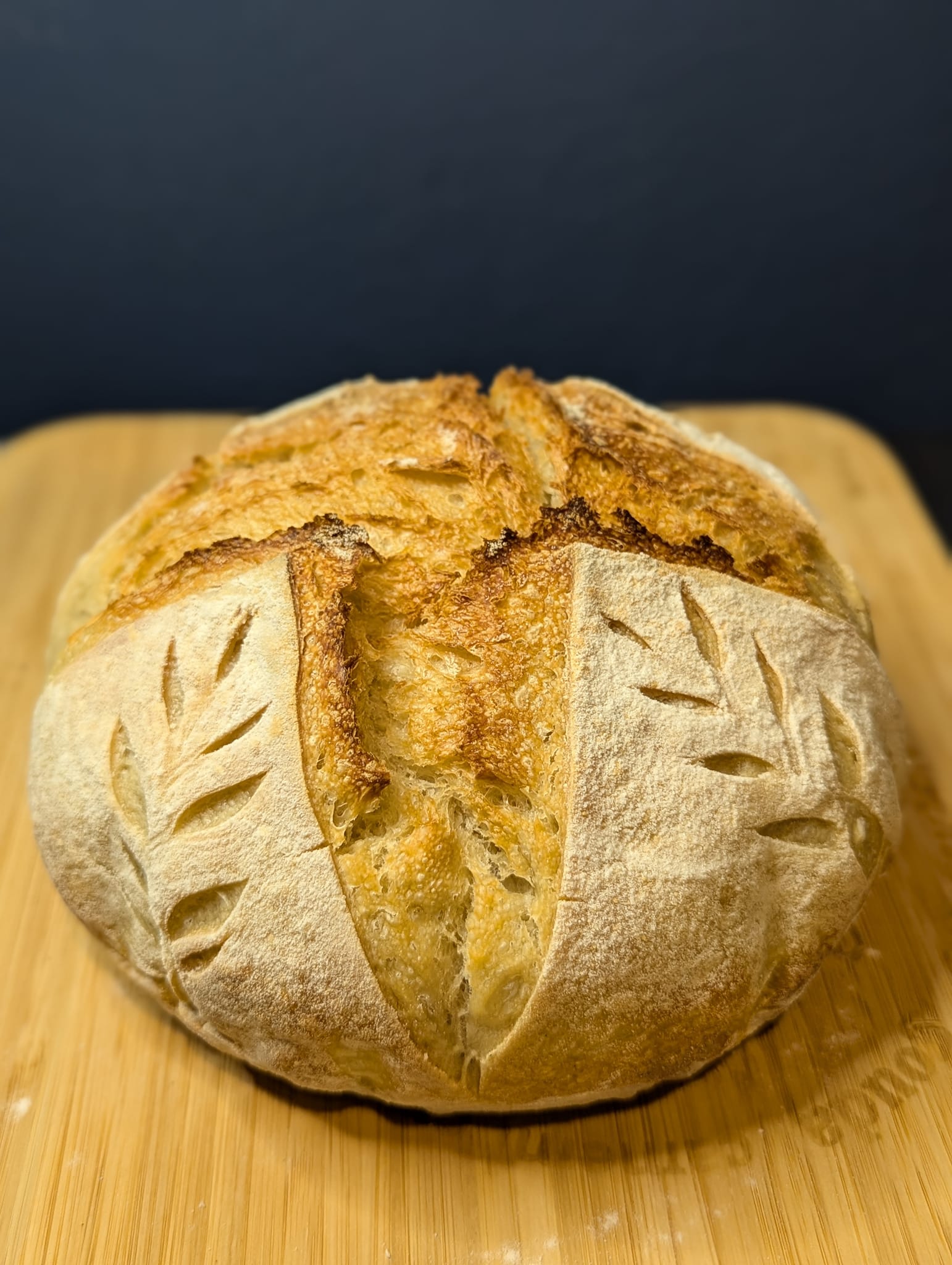 Artisan Sourdough Boules