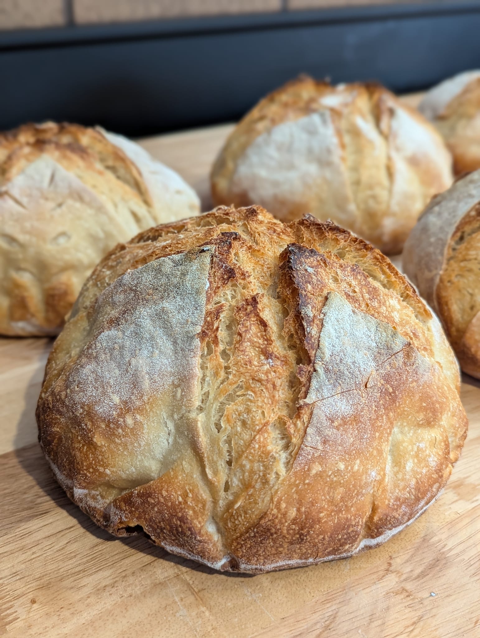 Artisan Sourdough Boules