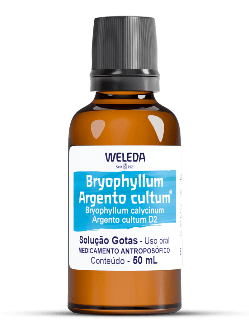 Bryophyllum Argento cultum