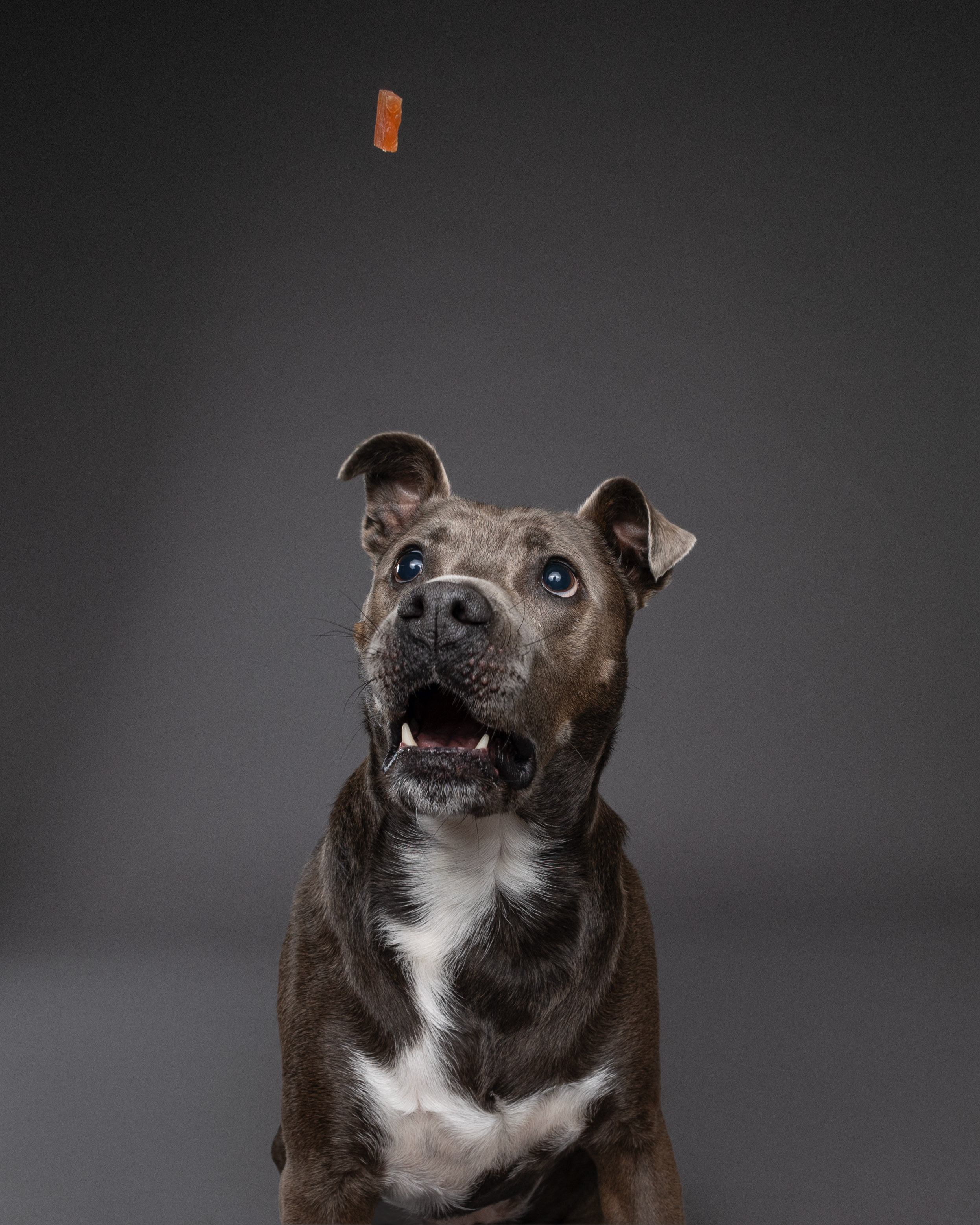 Základní balíček