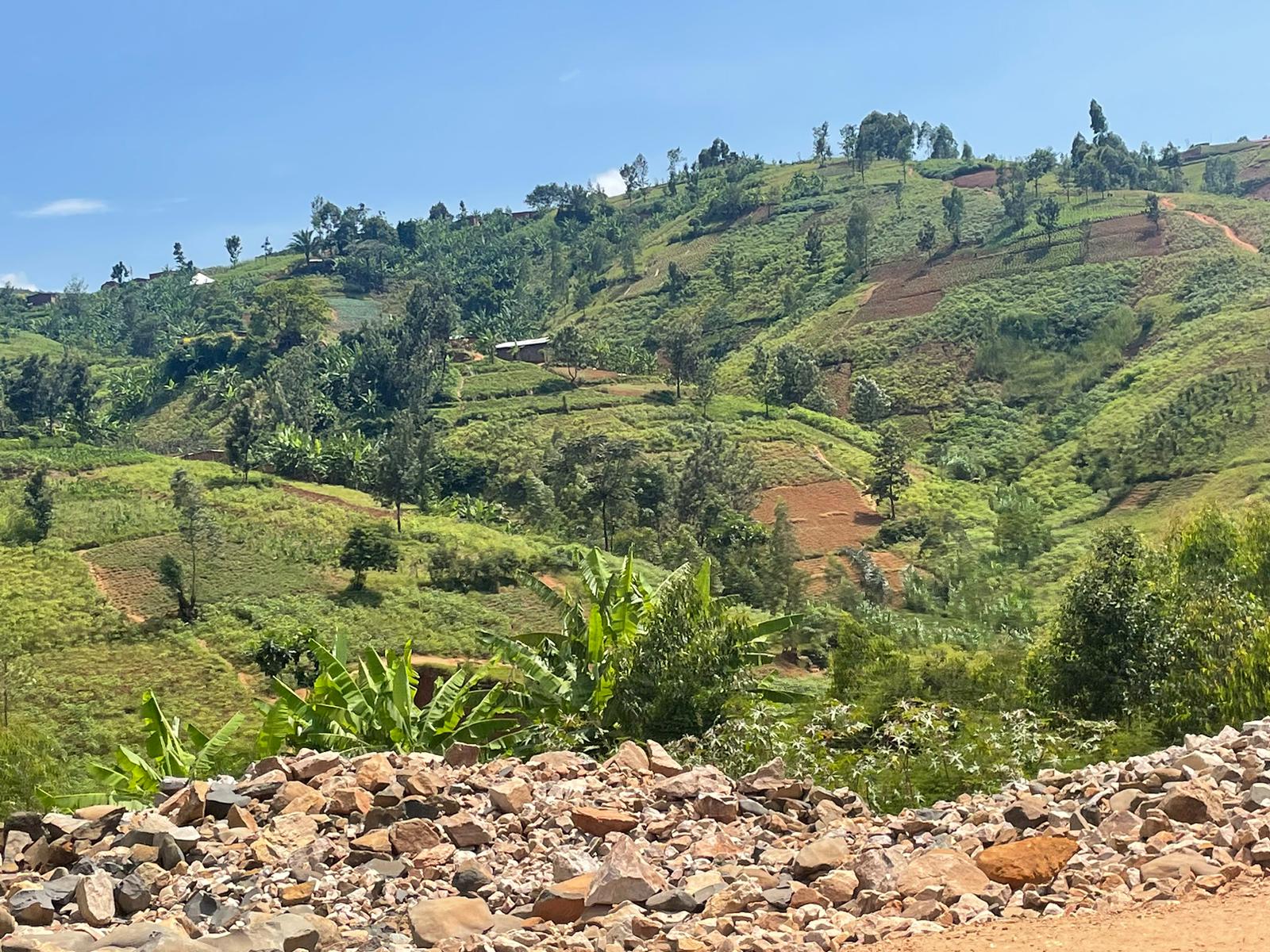 Donation to LL Communities