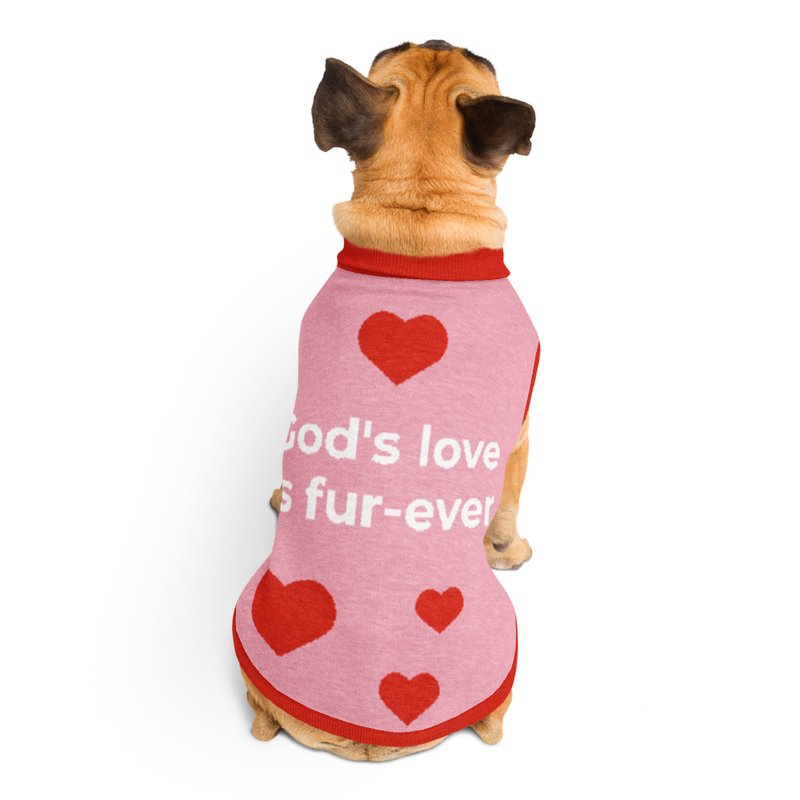 God's Love is Fur-Ever Knitted Pet Sweater