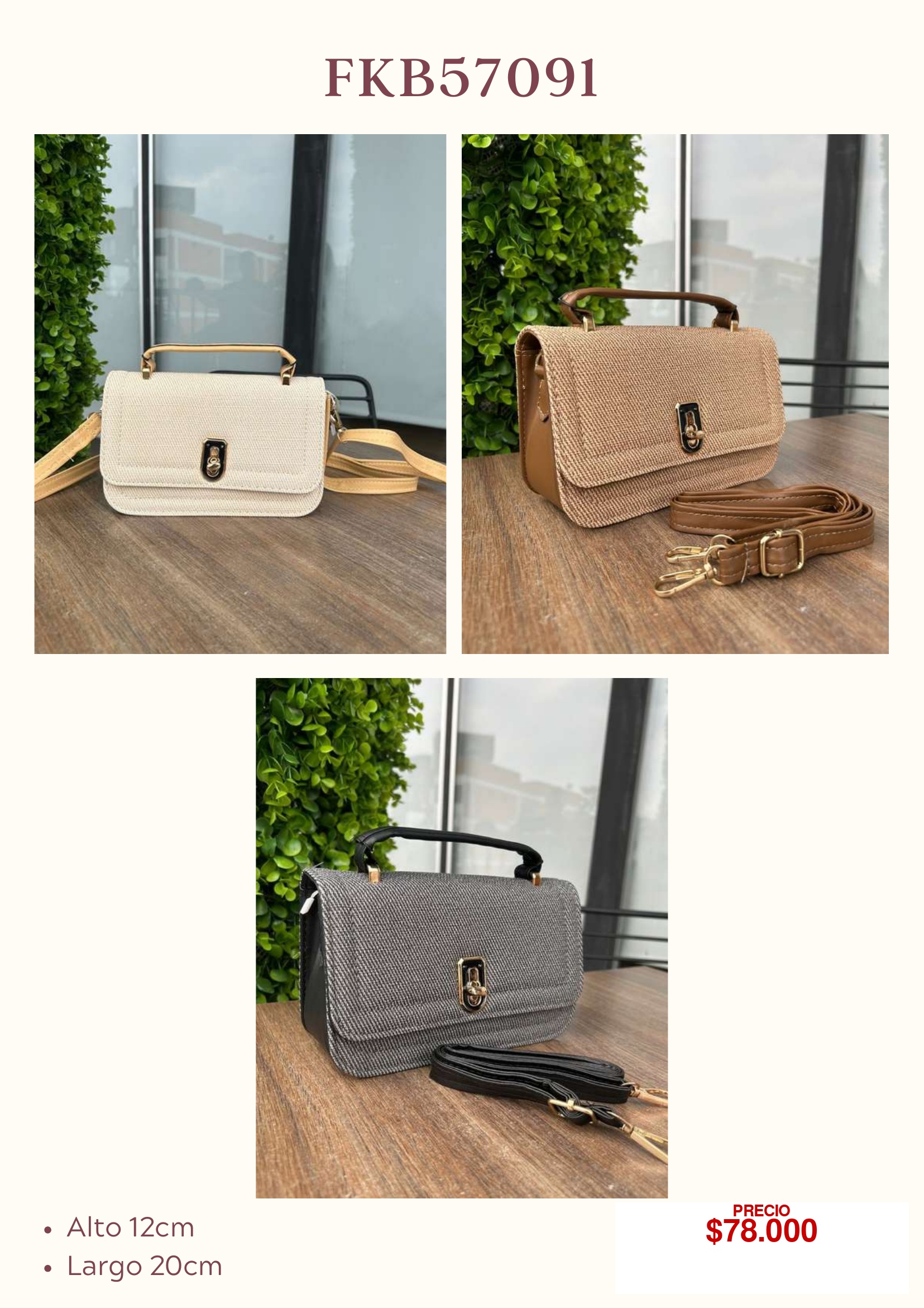 Bolso de Mano Elegante