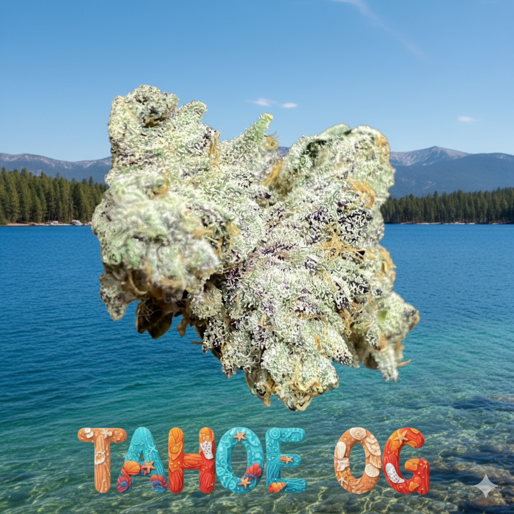 Tahoe OG
