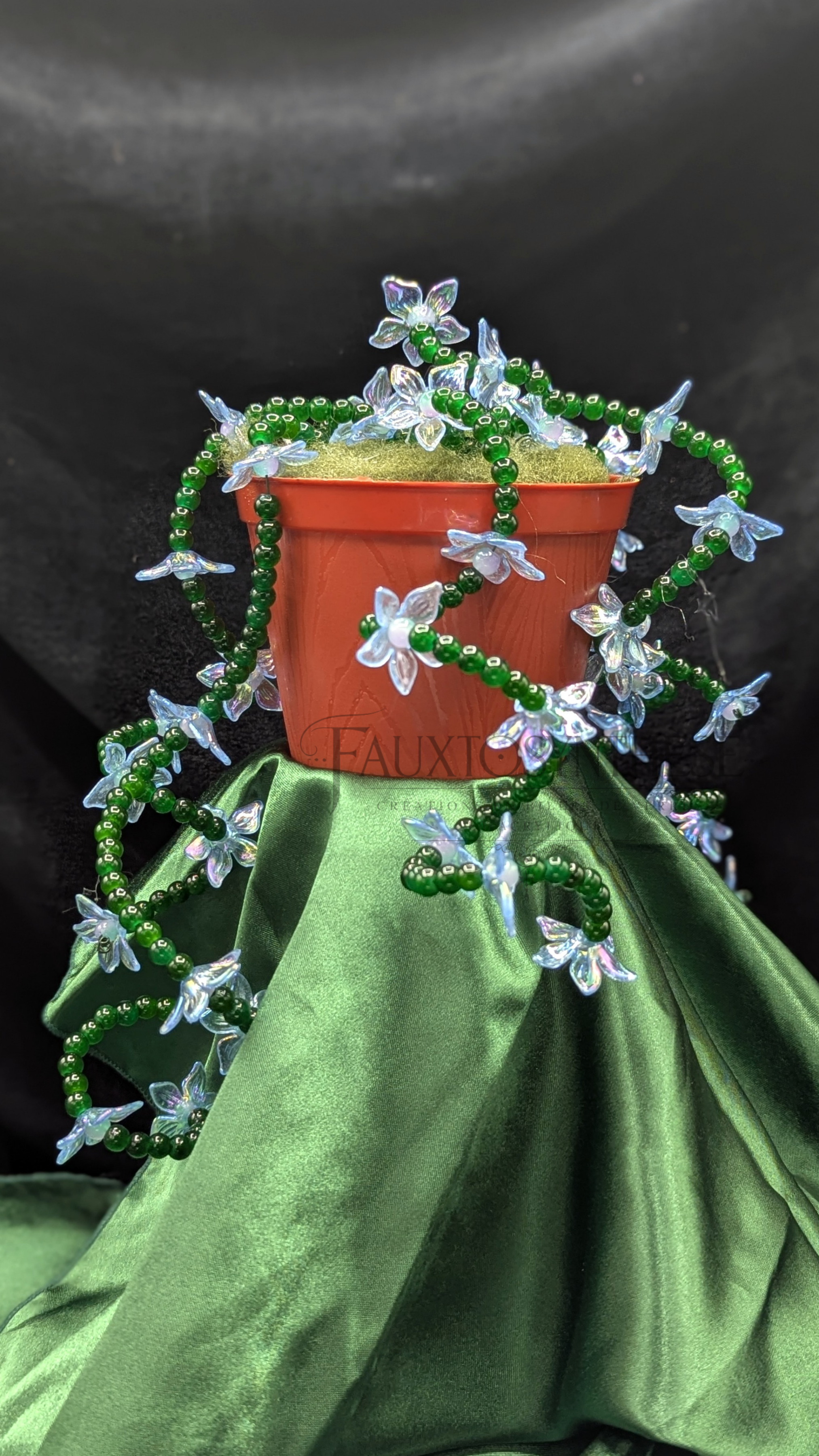 la Succulente retombée