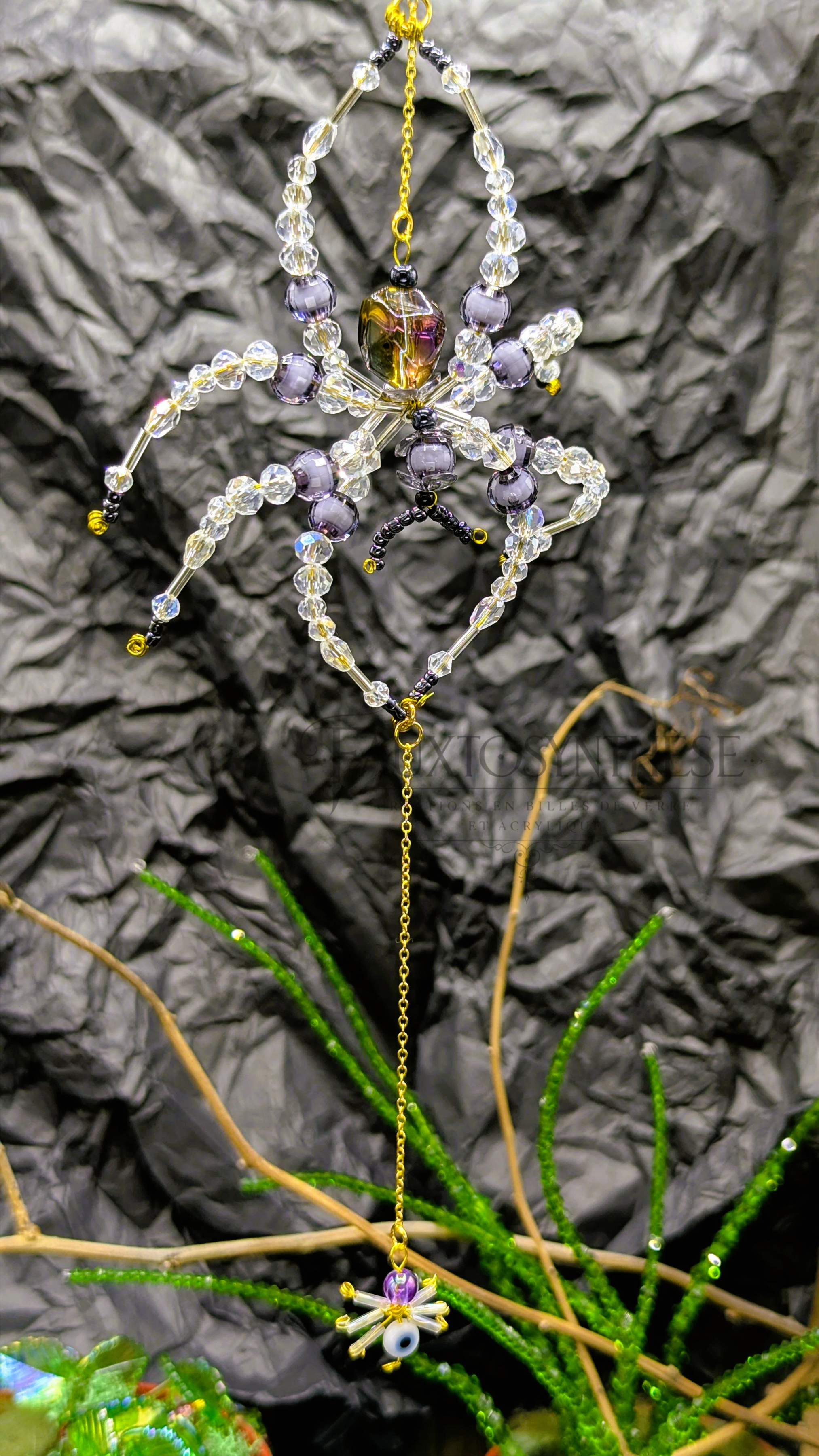 Lara l'araignée et son déj-oeil-ner